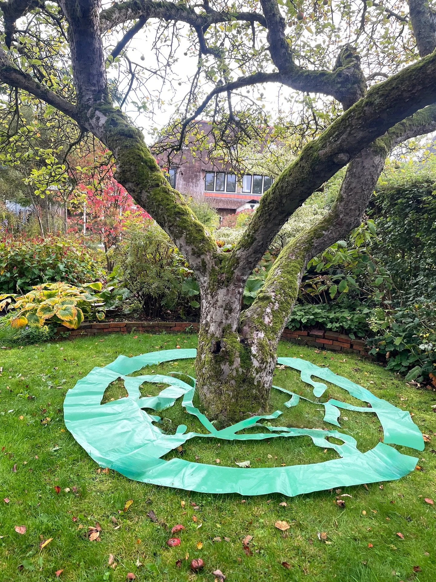 Tsuba #1: Protector of the Trees now on display at the #Kunst10Daagse! 🌳💚
Come and experience it now, let&rsquo;s have a chat about it!