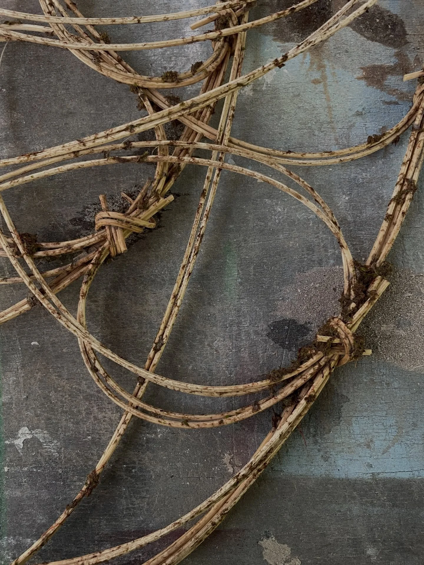 Anne Roos van Veen &mdash; Maat der Dingen

Als research artist onderzoek ik de relatie tussen mens en natuur en onze omgeving. In mijn werk geef ik de natuur een stem, bijvoorbeeld door haar rechten toe te kennen in mijn werk of door samen te werken
