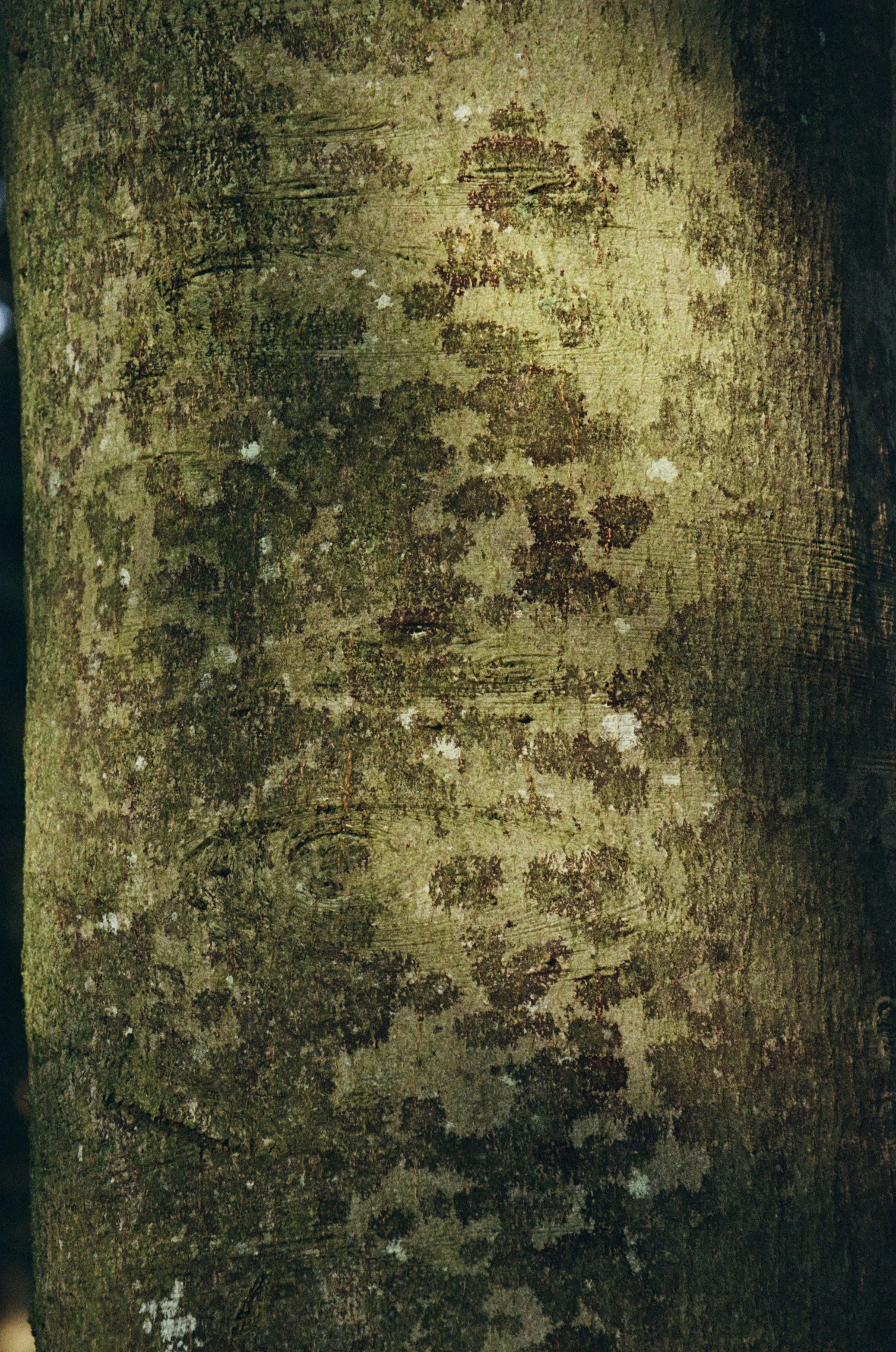 2170_03.jpg