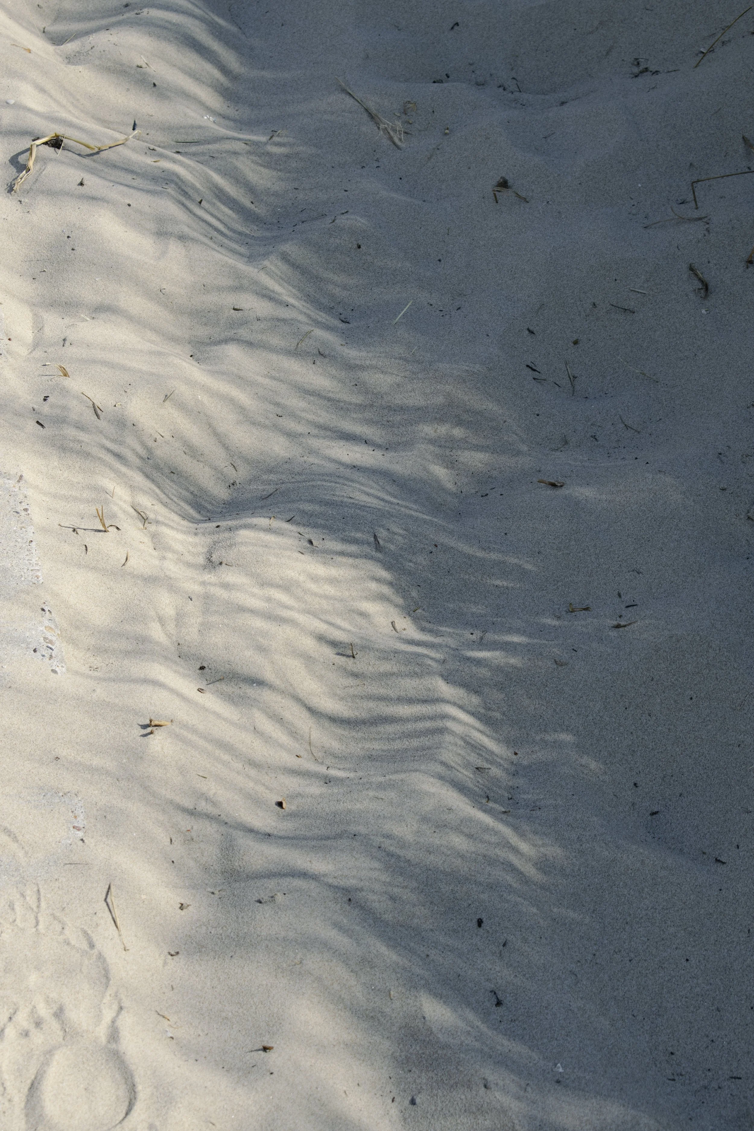 Field note — VerBergen (2026)