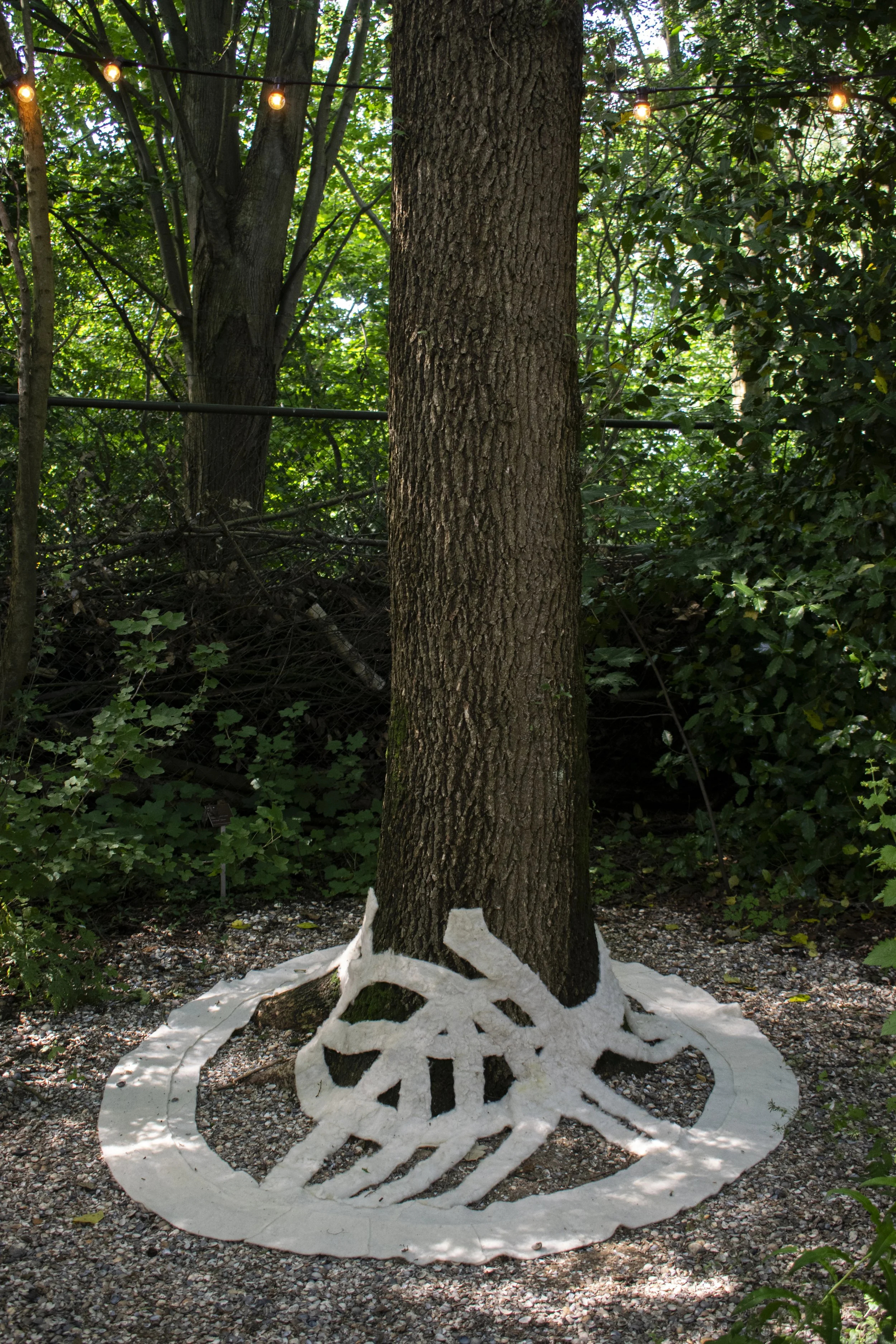 _DSC0008.jpg