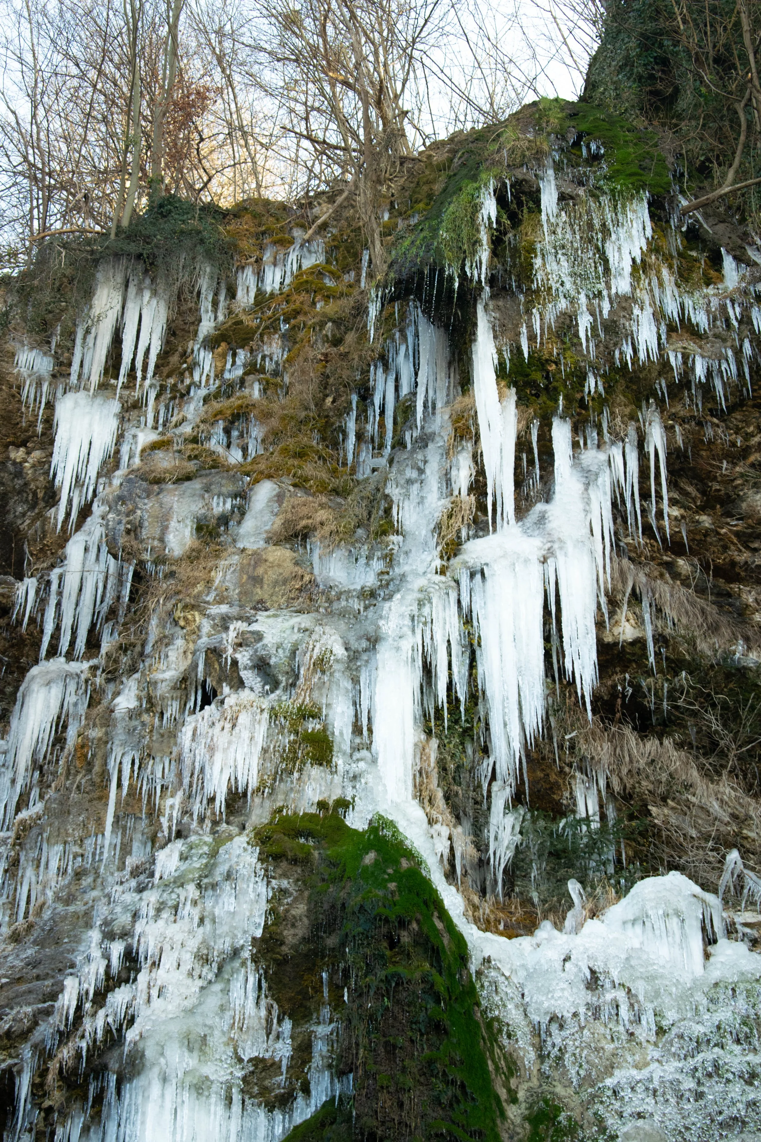 _DSC0032.jpg