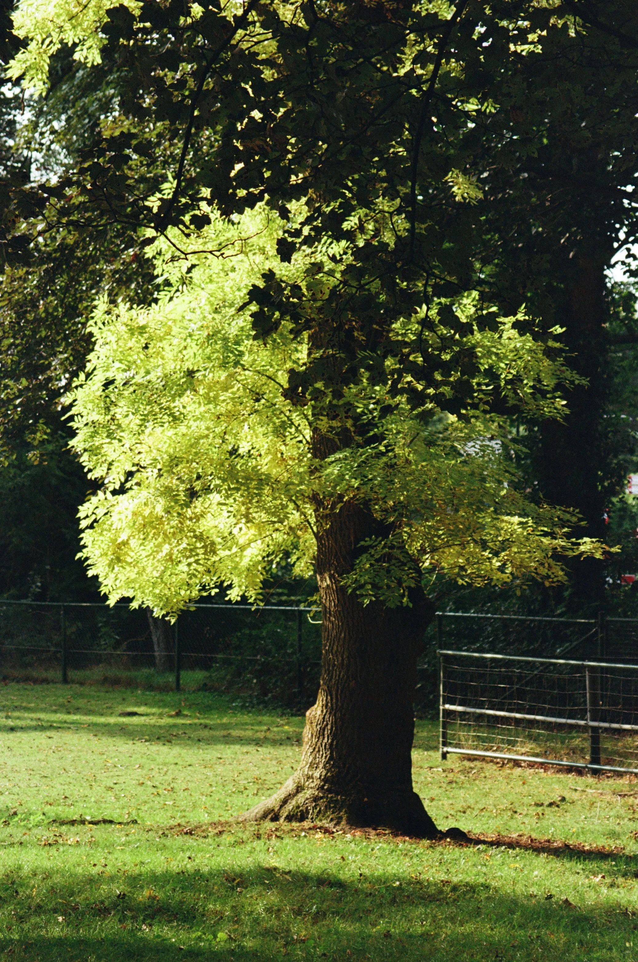 2170_01.jpg