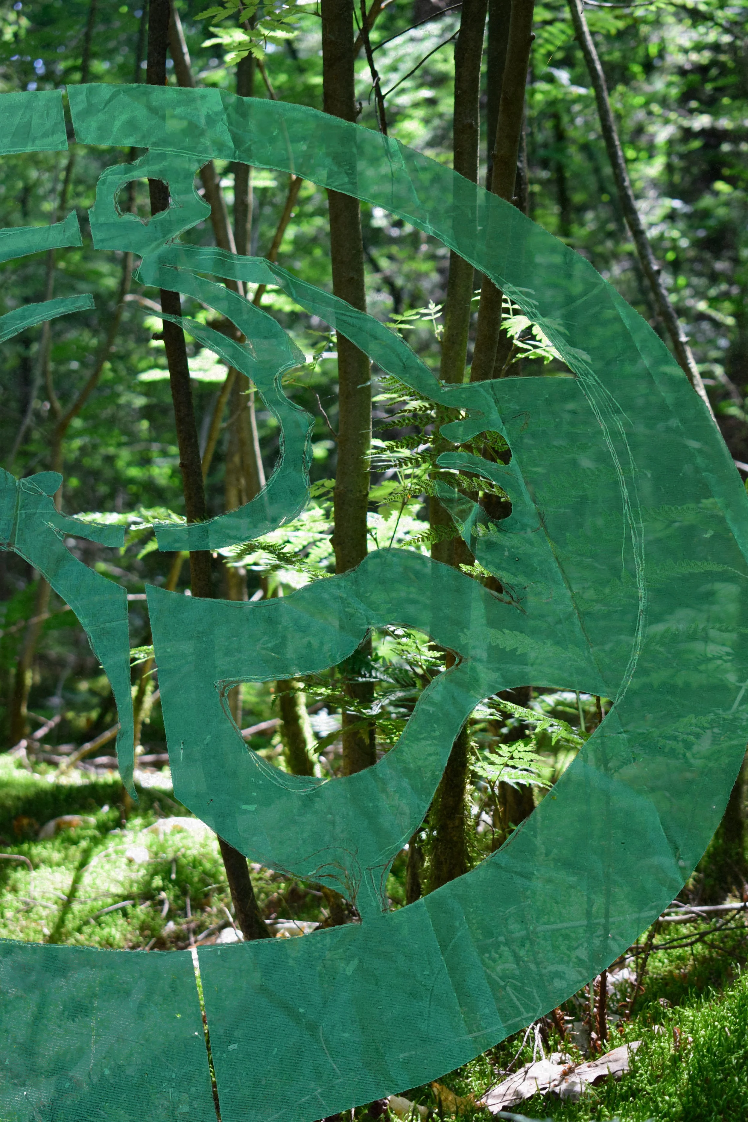 Tsuba