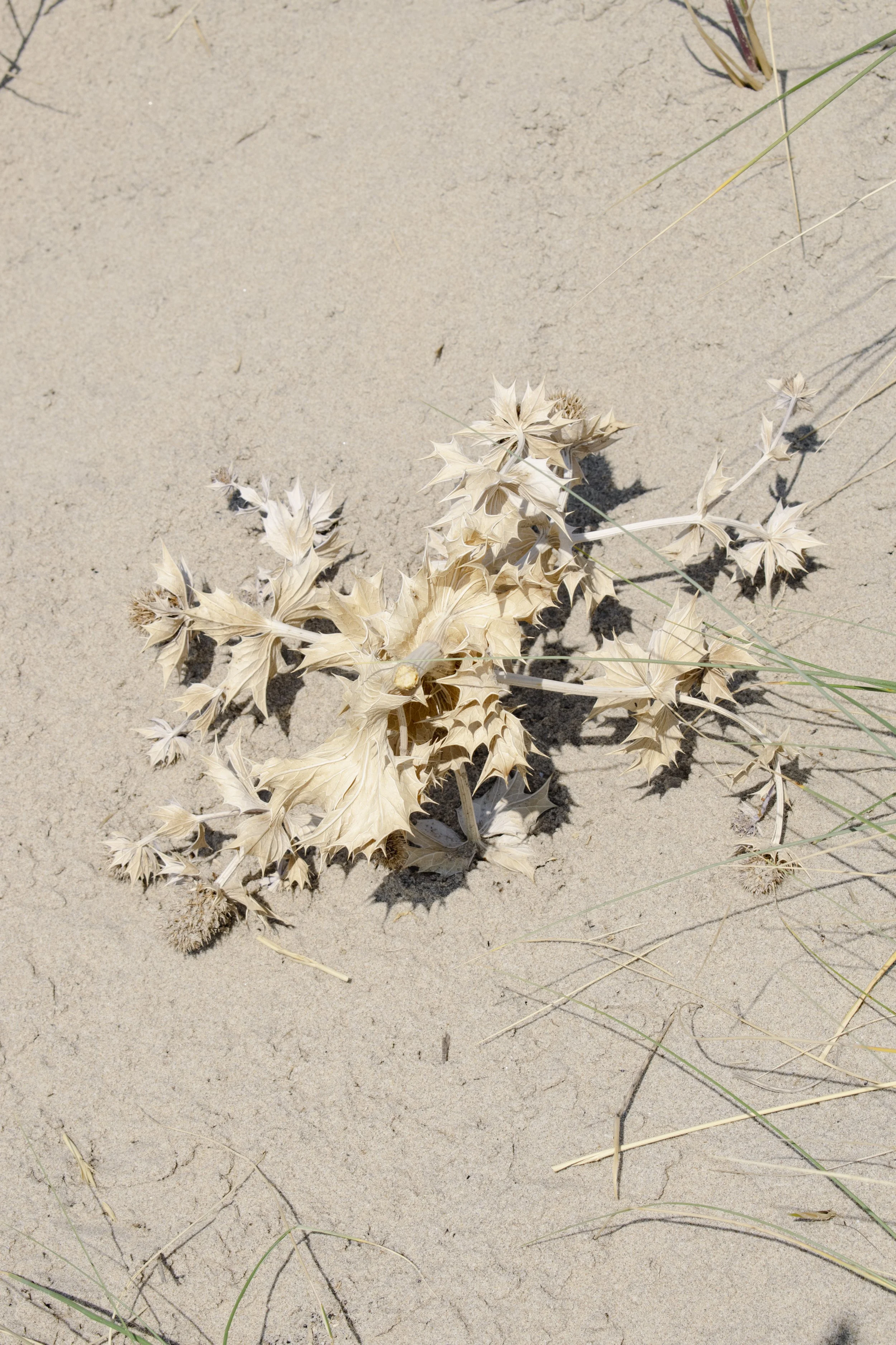 Field note — VerBergen (2026)