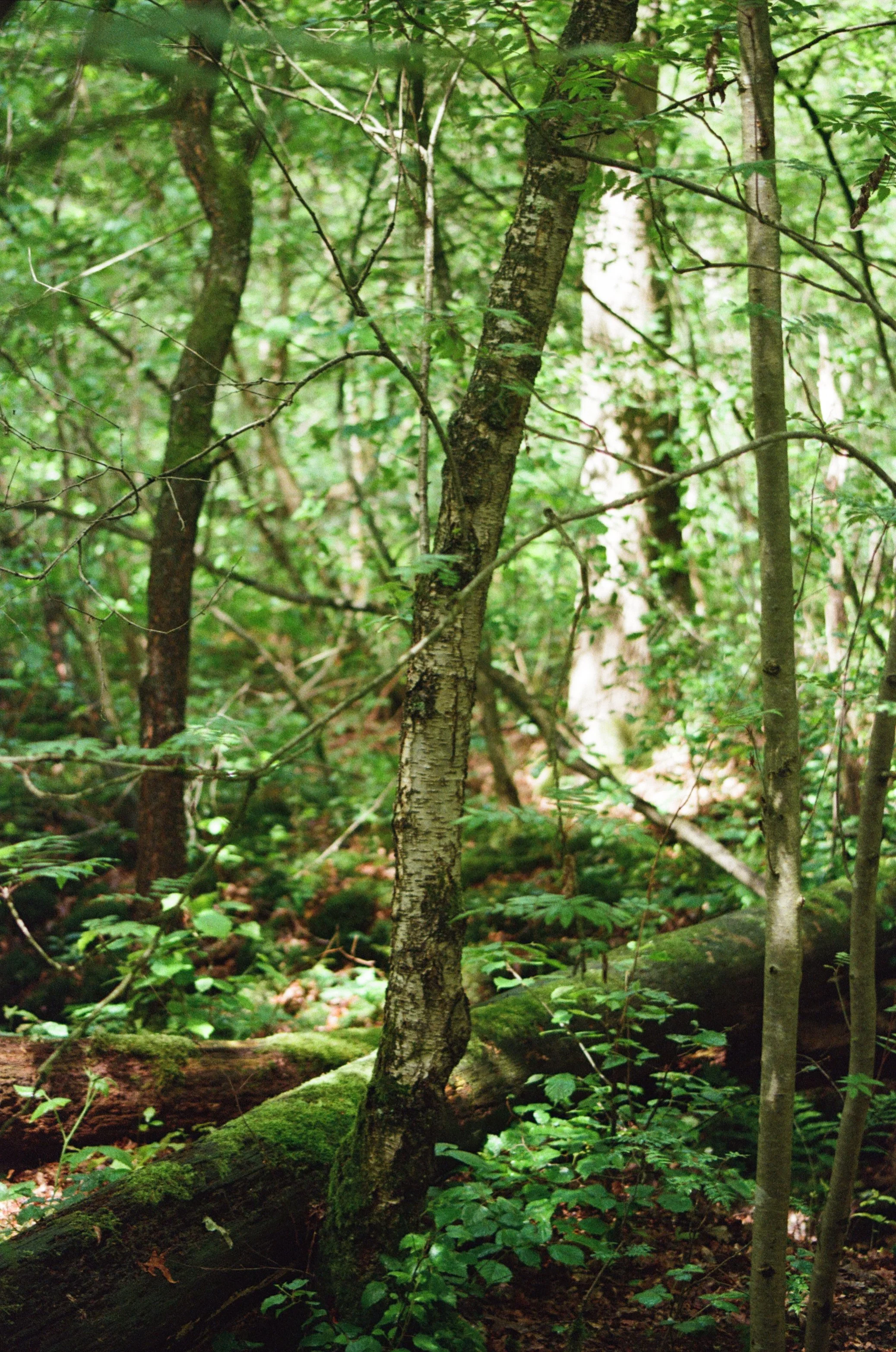 895_05.jpg