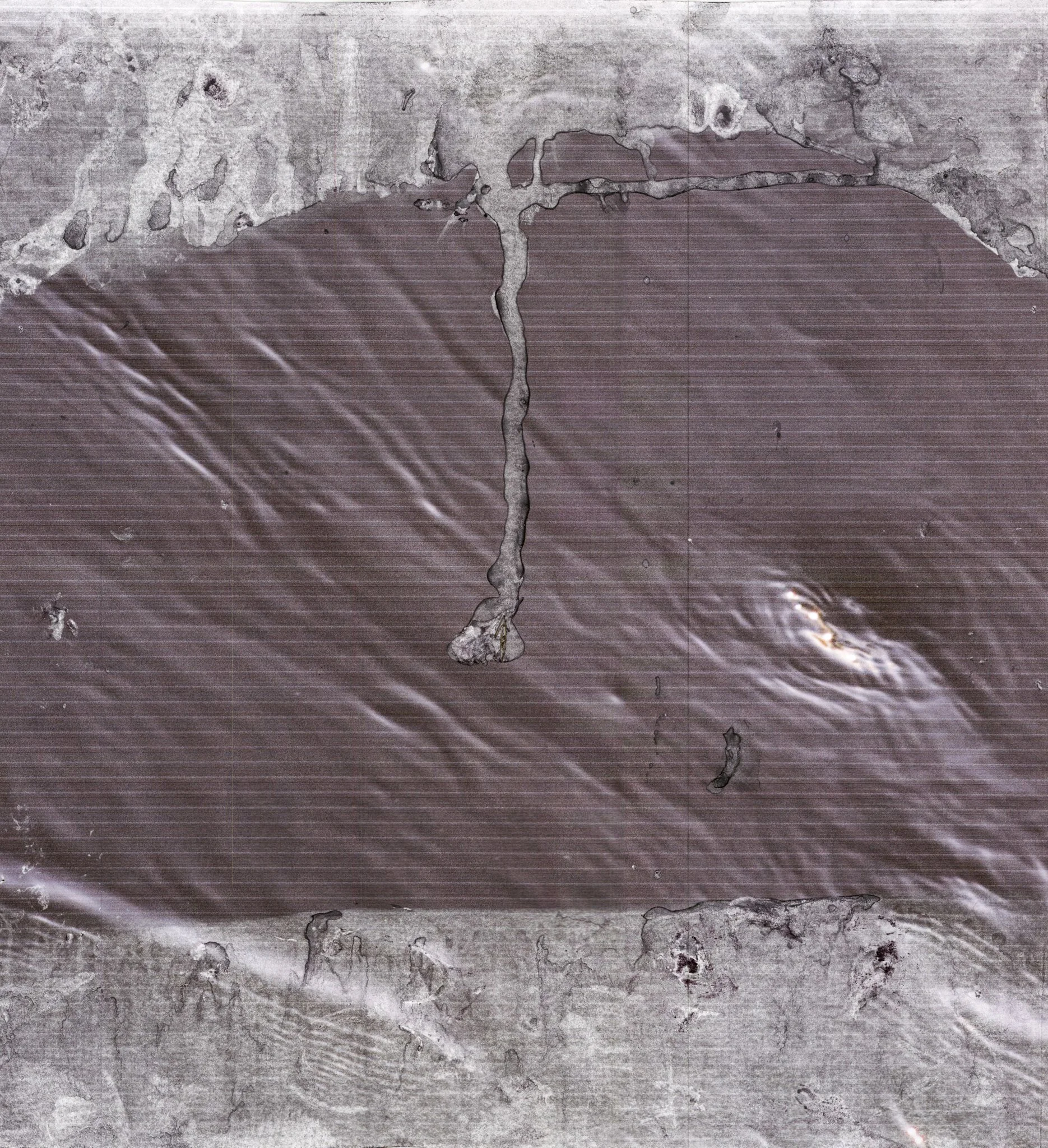 Zwart Water prints