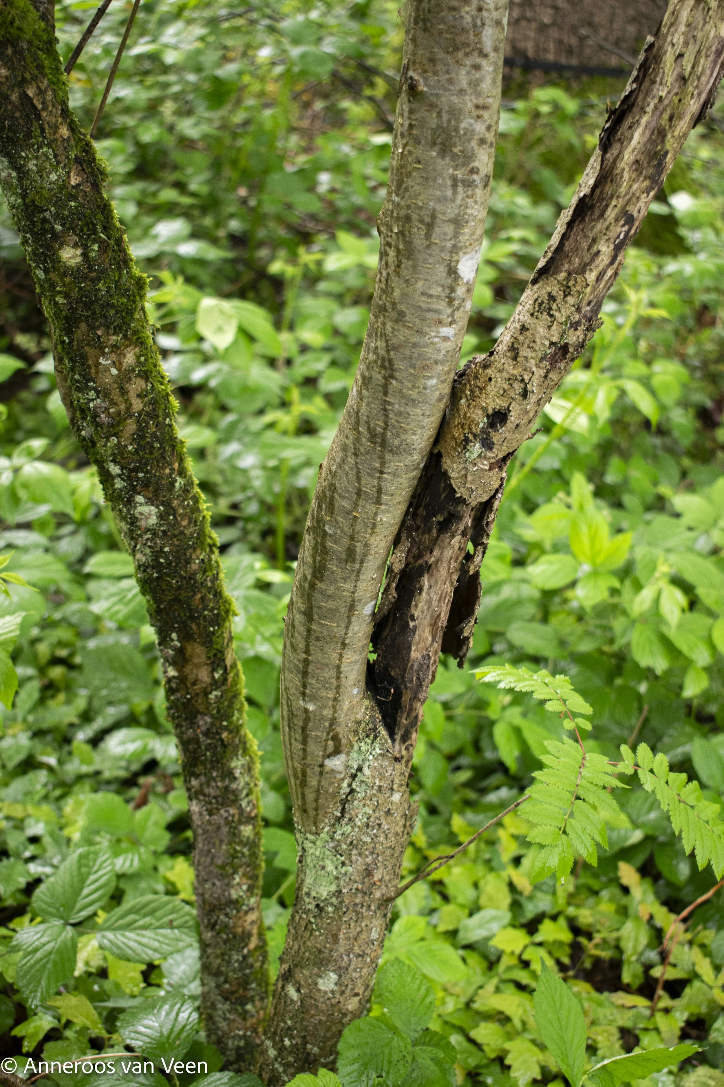 _DSC0153.jpg