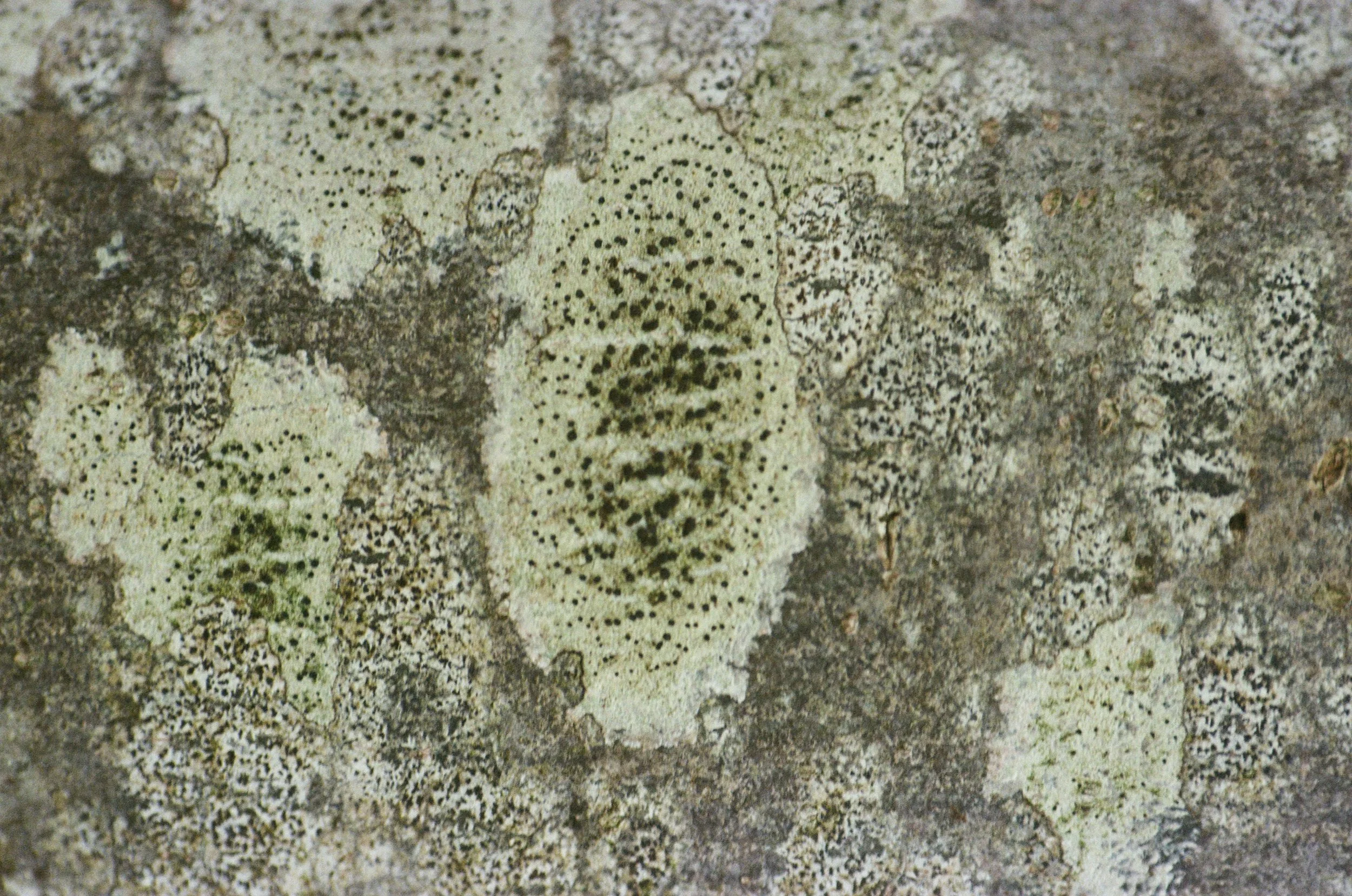 896_01.jpg