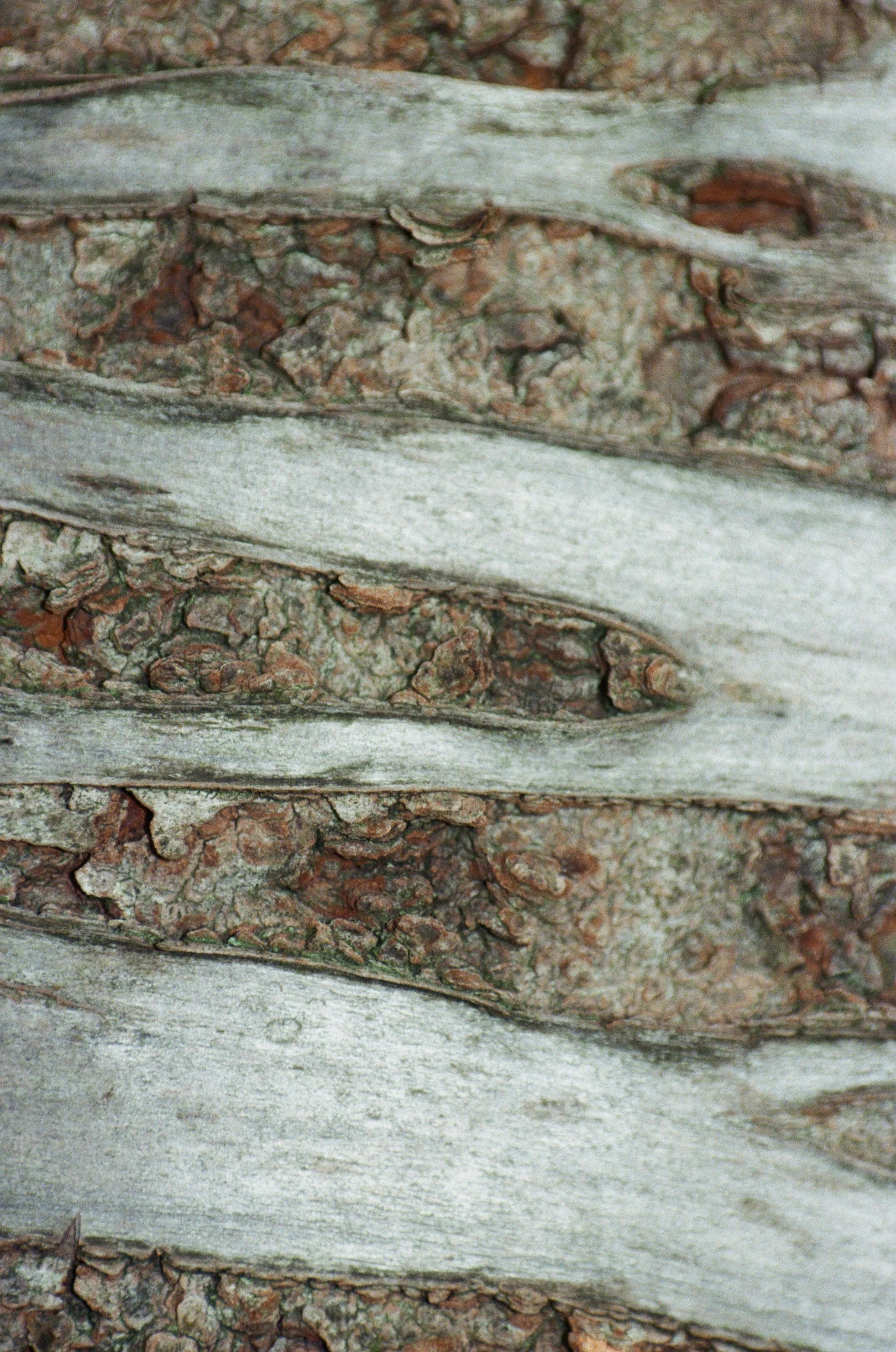896_23.jpg