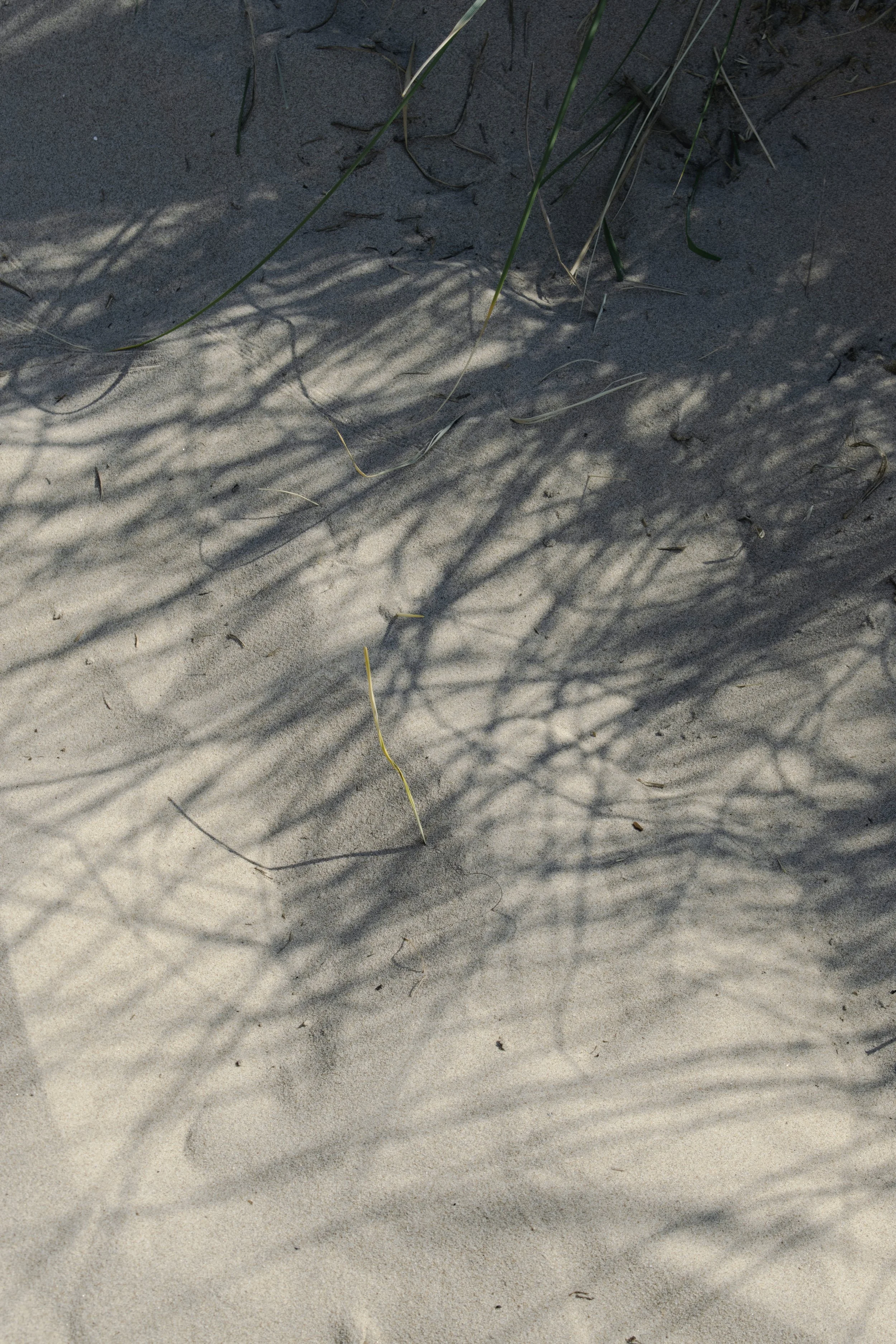 Field note — VerBergen (2026)