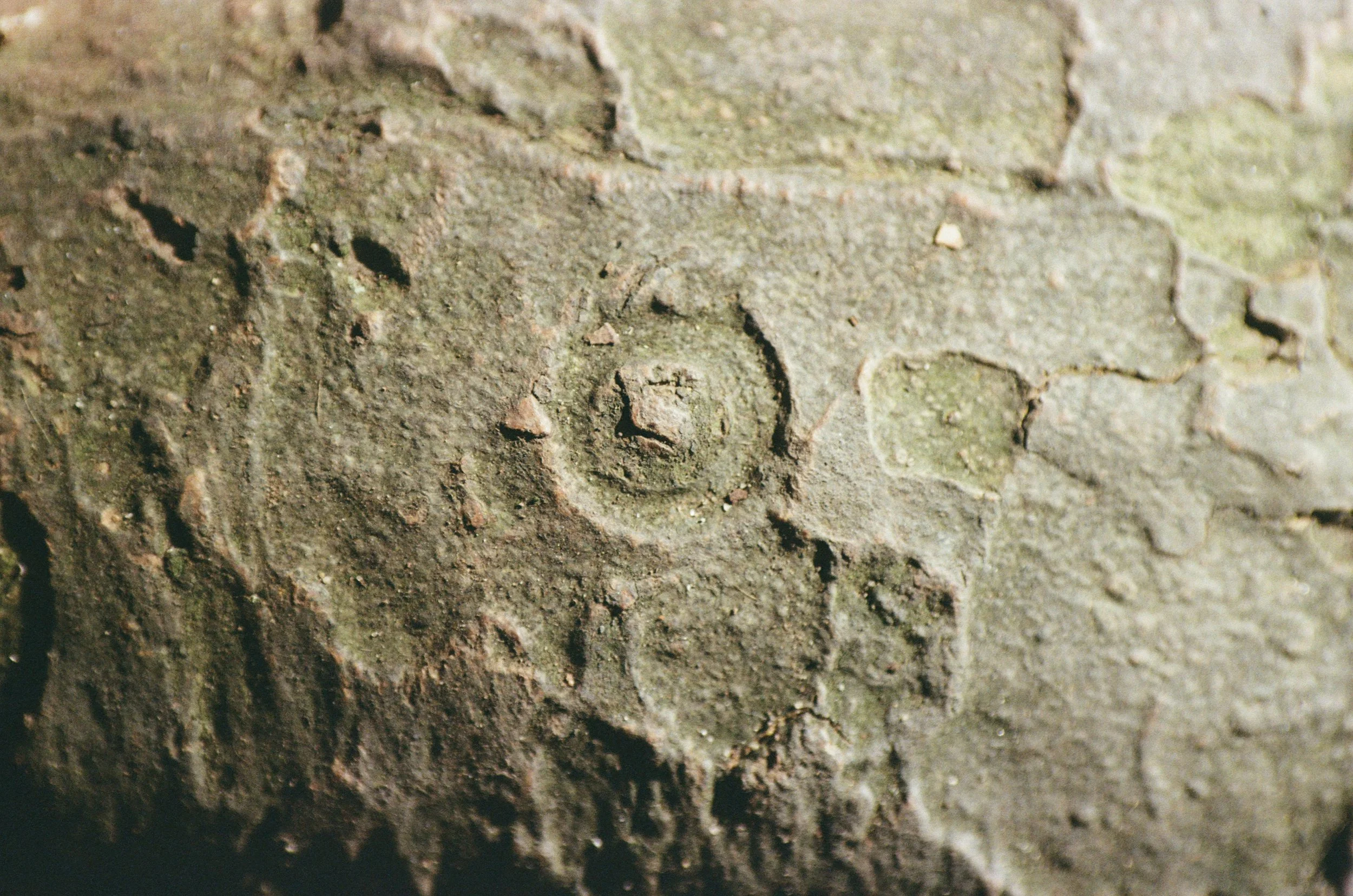 896_20.jpg
