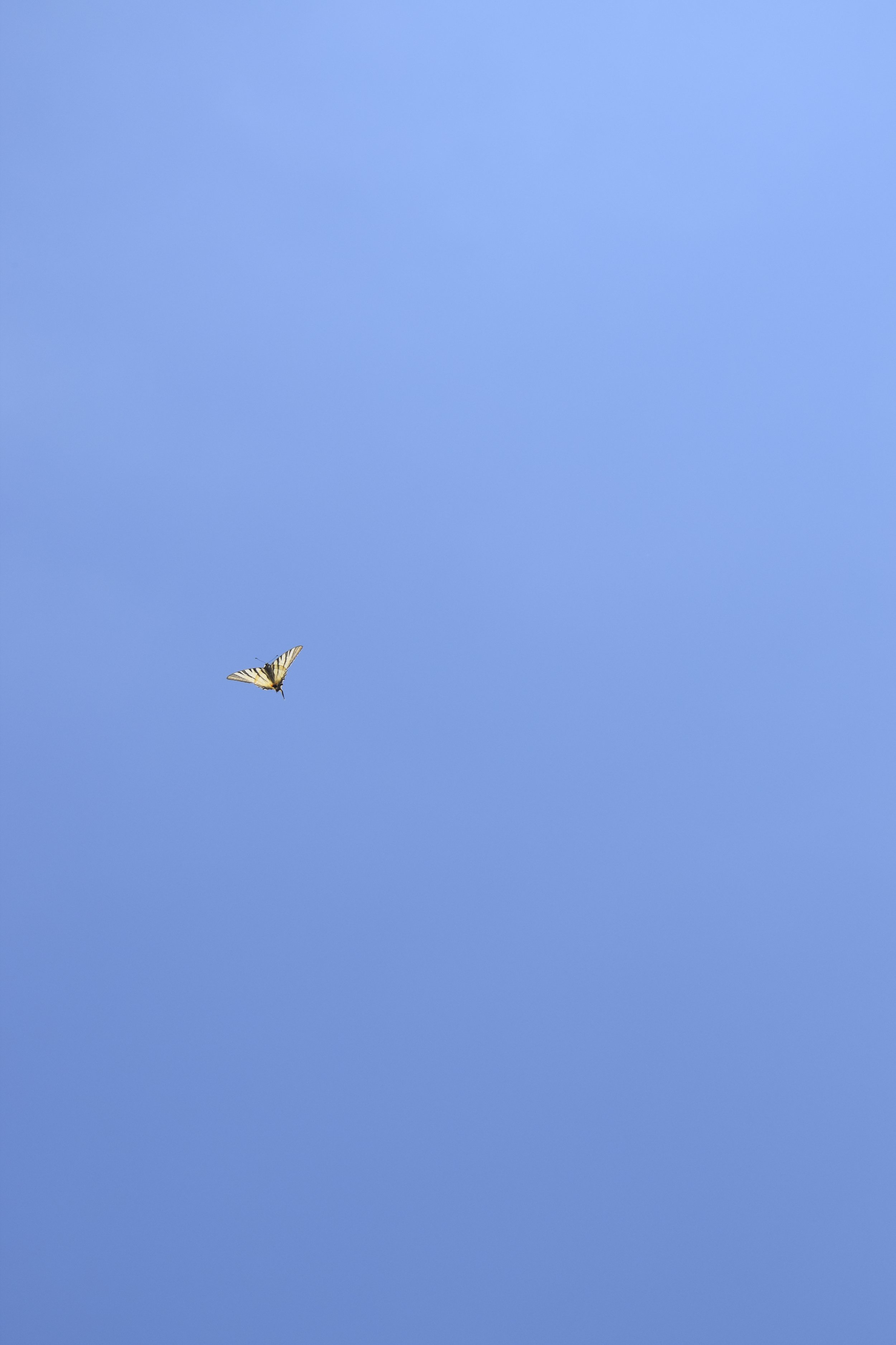 _DSC0324.JPG