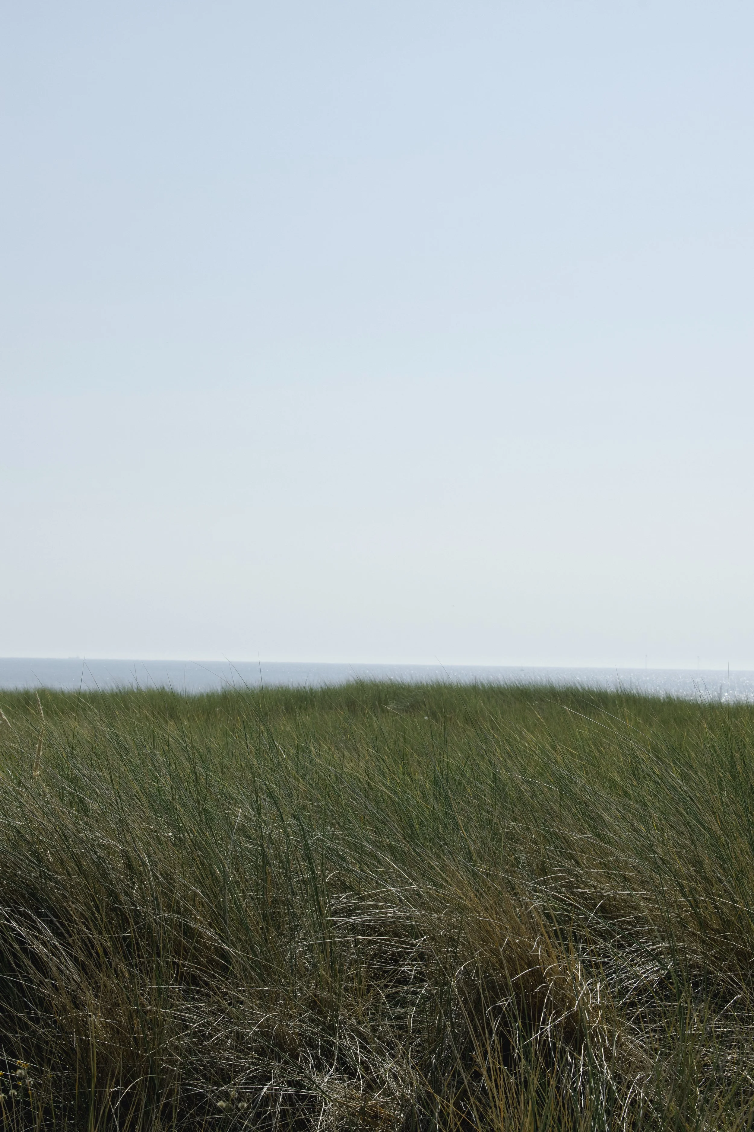 Field note — VerBergen (2026)