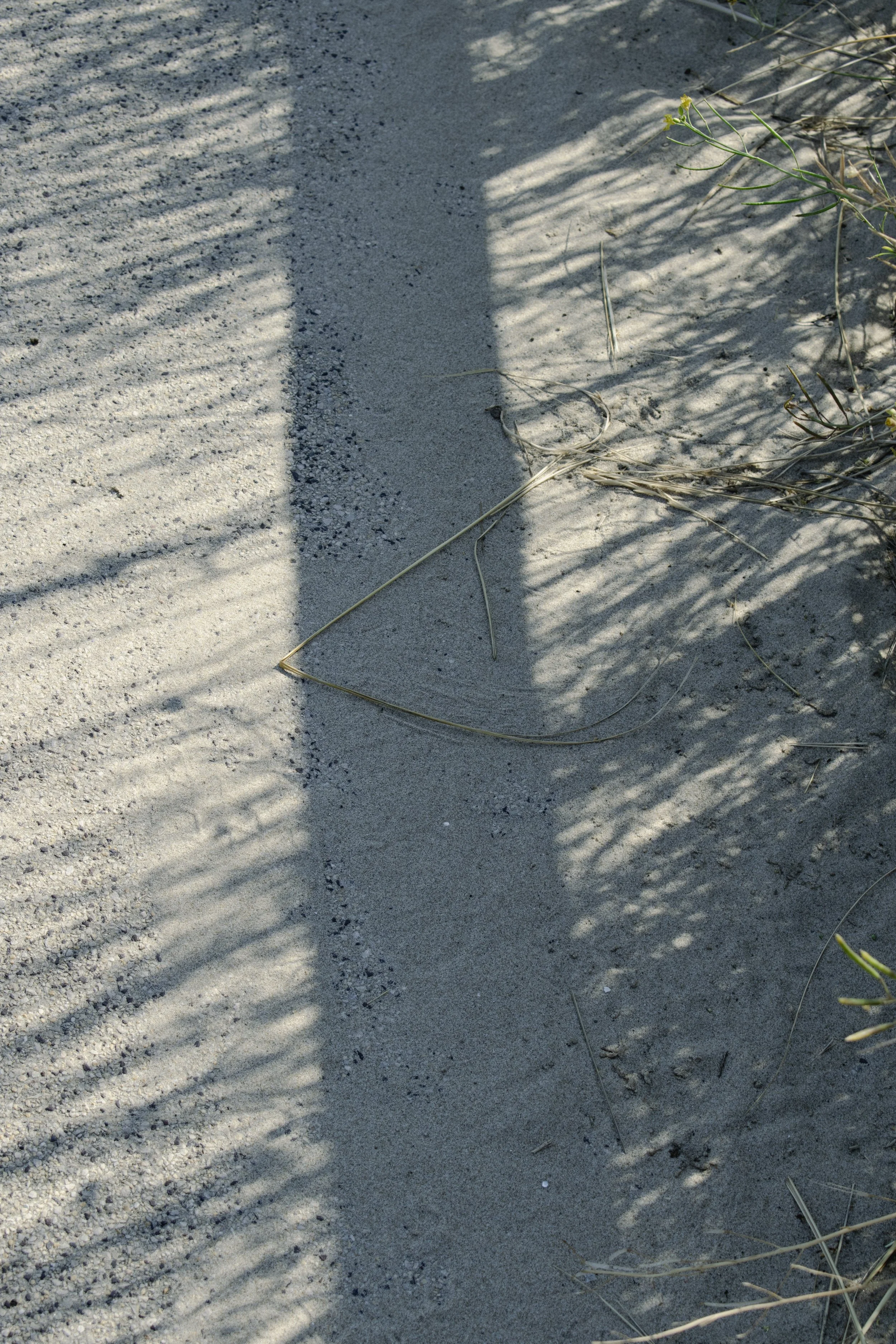 Field note — VerBergen (2026)