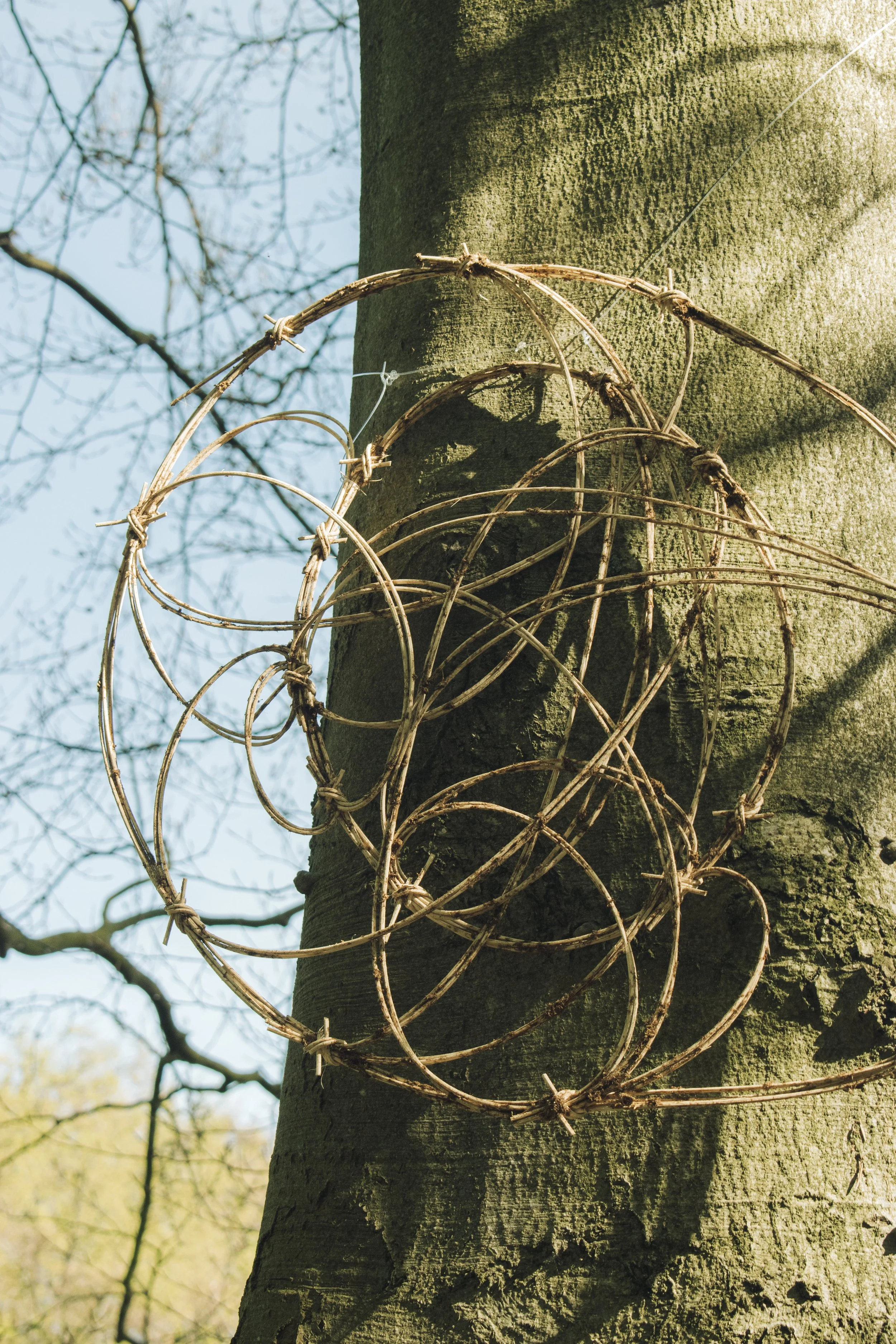 Maat der dingen