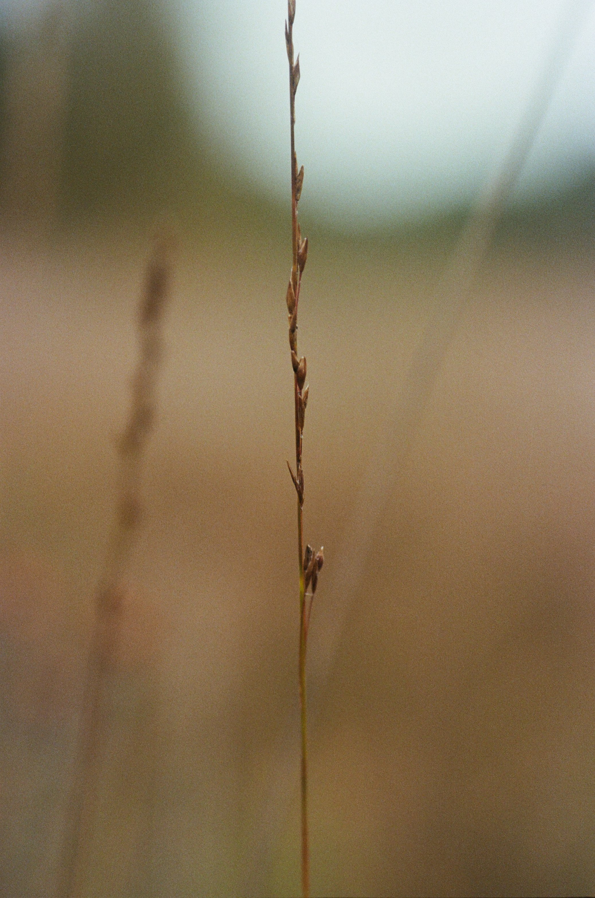 896_11.jpg