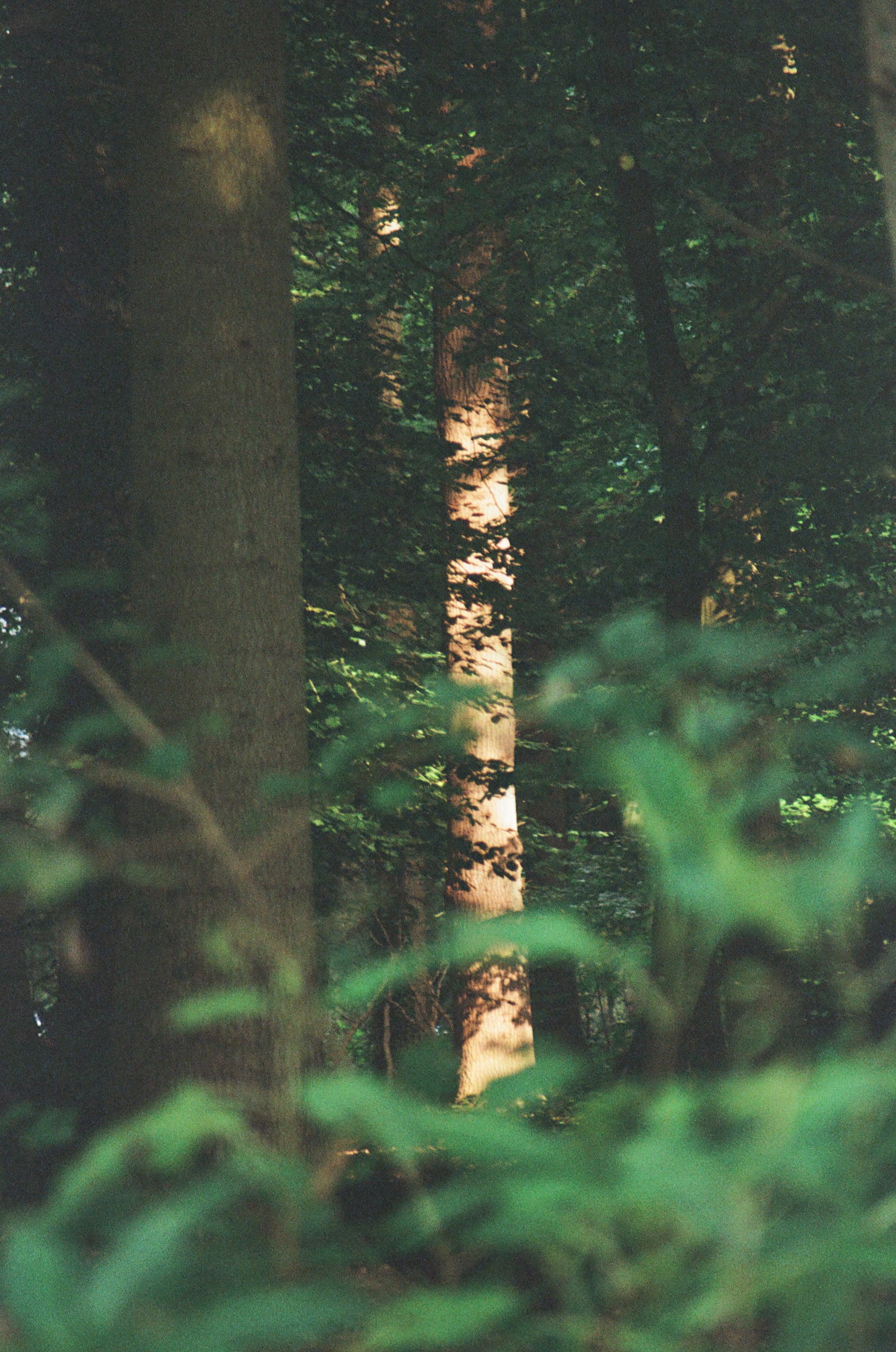 2170_12.jpg