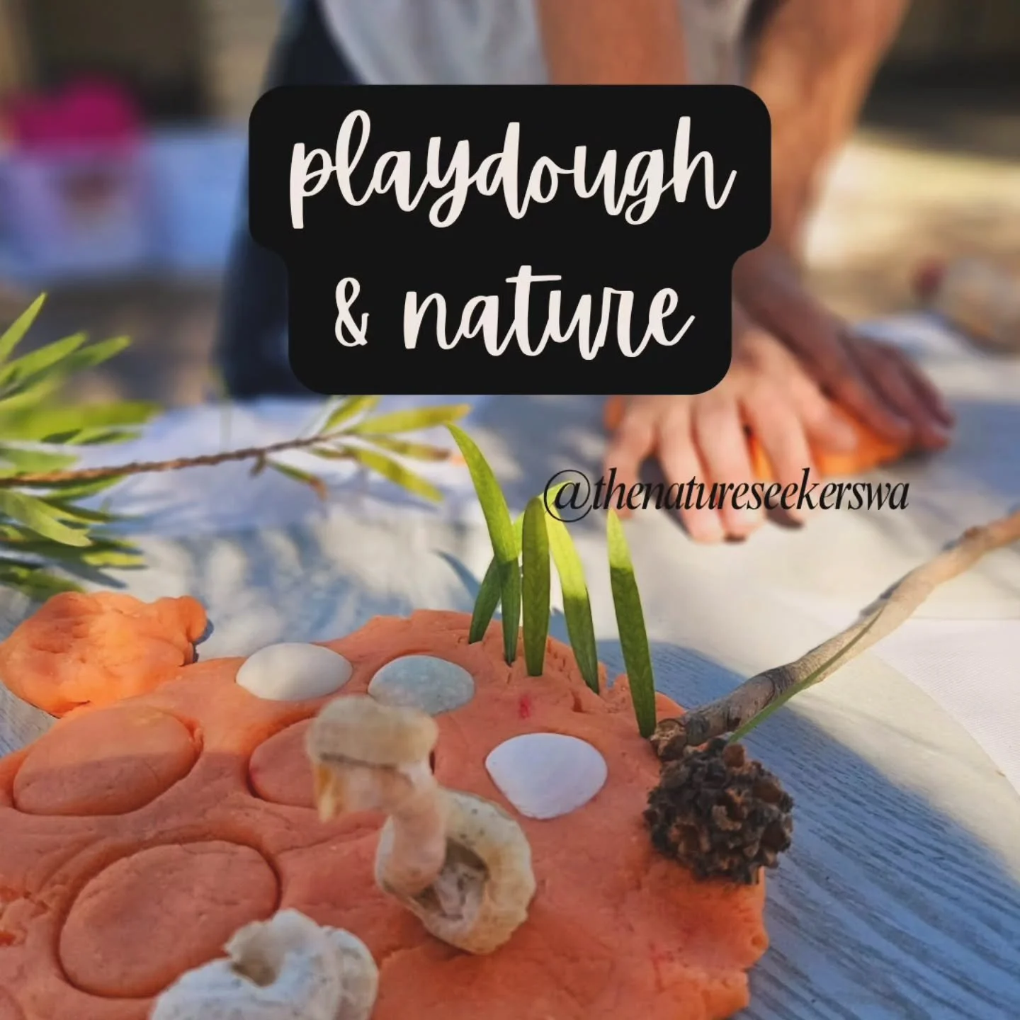 &lt;&lt;&lt; Where playdough plays, learning grows &gt;&gt;&gt;

There's something special about combining playdough with nature. What begins as 'playdough cakes' with twig candles often evolves into more intricate designs! Especially when we DITCH t