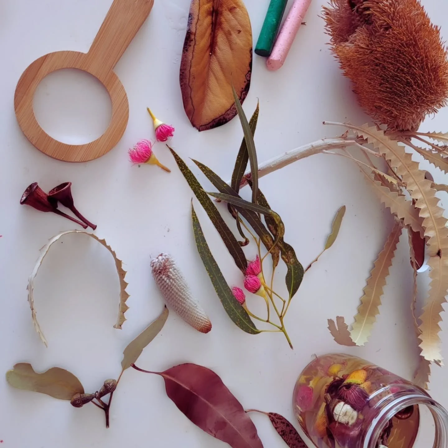 Do you have a 'nature nook' in your classroom? 
A place for 'foraged' precious items, where children learn to 'be gentle' and feel their voice matters?

A 'nature nook' gives children a sense of belonging, a special home for their treasures, and a pl