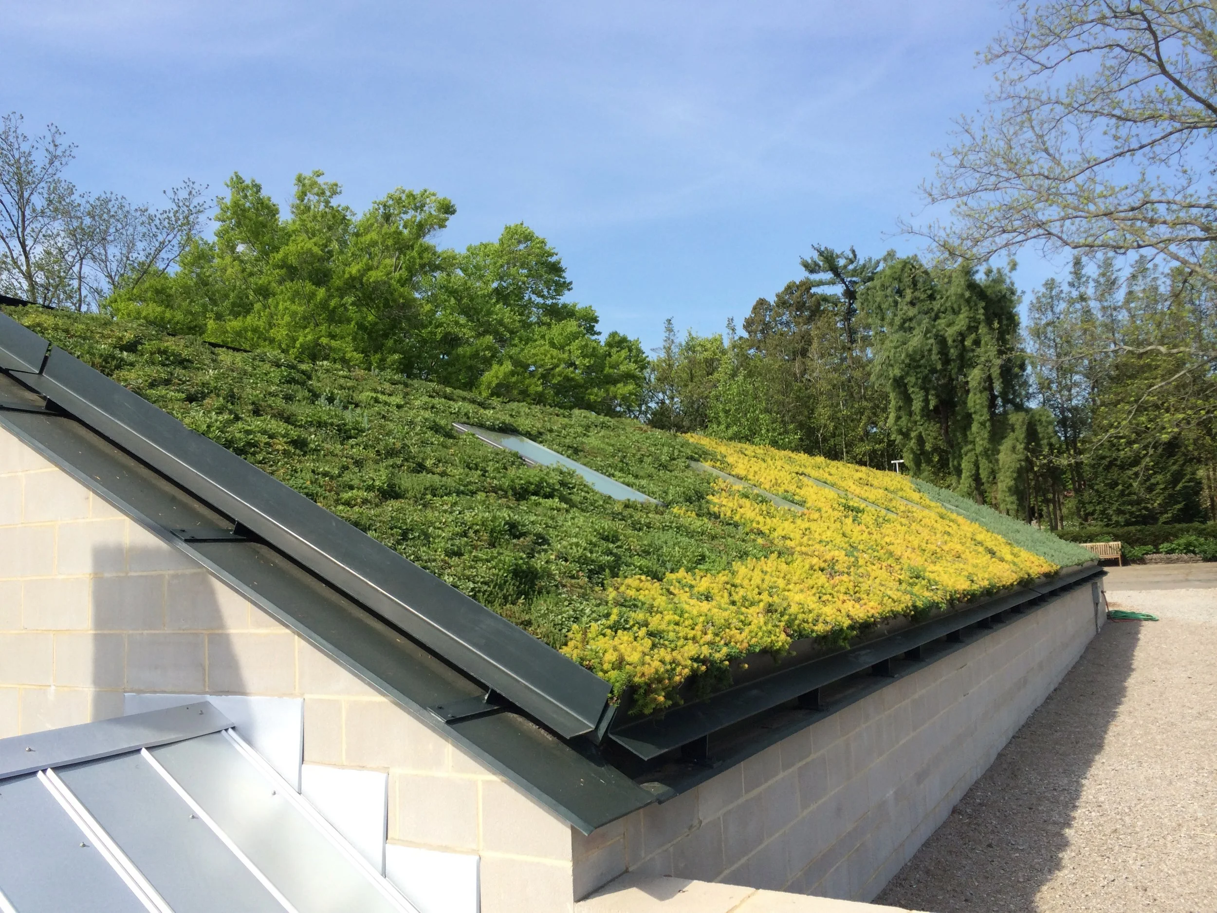Maximizing Sustainability and Minimizing Disruption