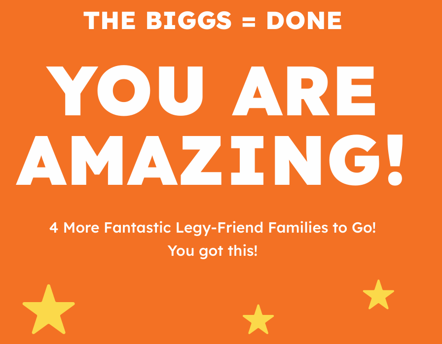 Portion of affirmation page stating 'you are amazing' and 'four more Legy-friend families to go. You got this! '