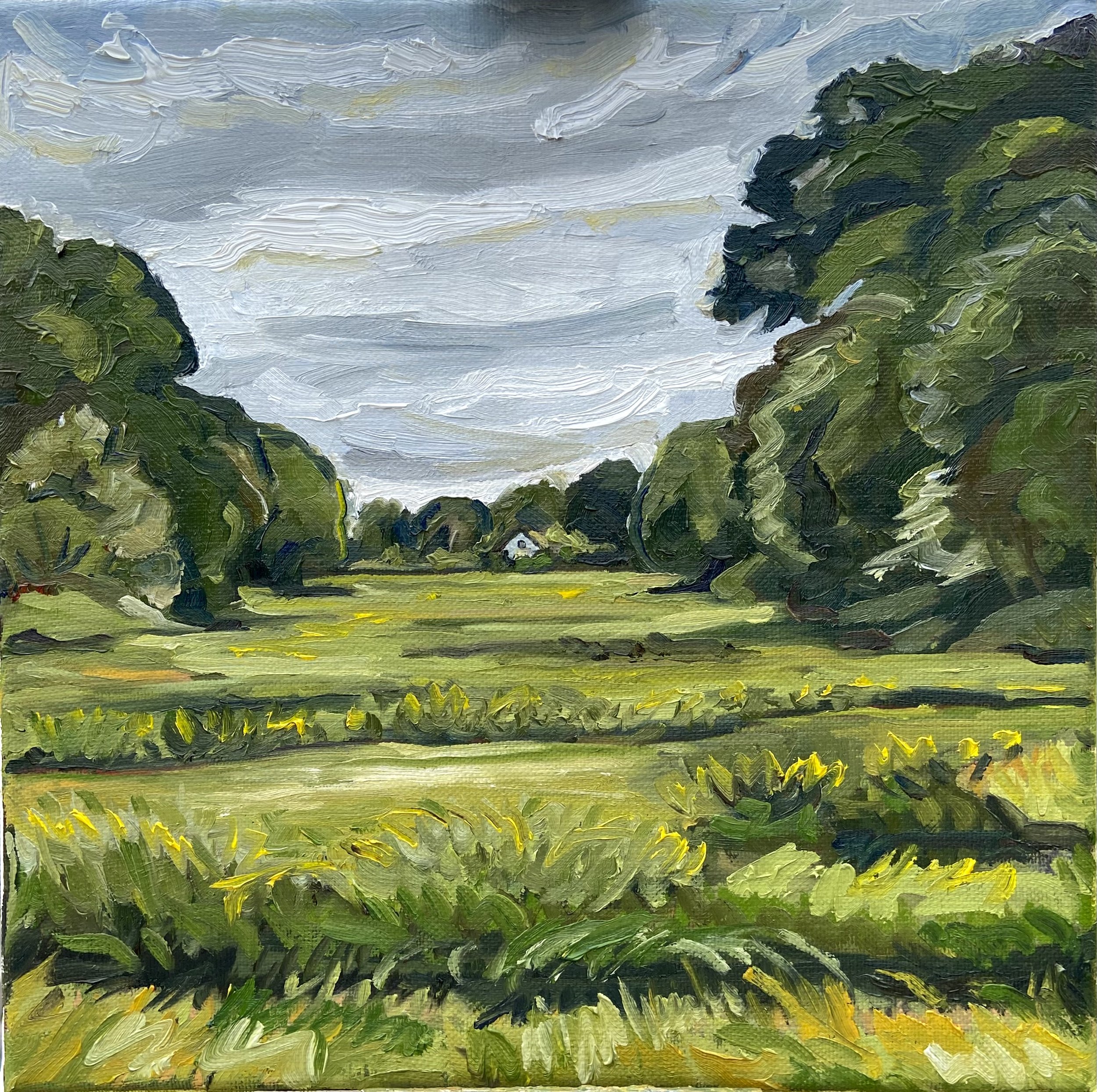 Salt Marsh Summer | 12 x 12 inches | Oil on canvas | 2023