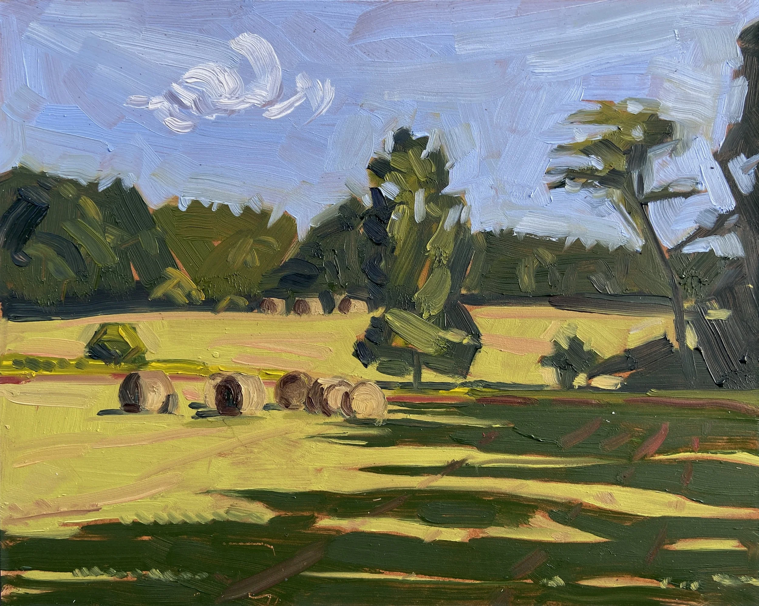 Feildstone Feilds Morning No.2 .jpg