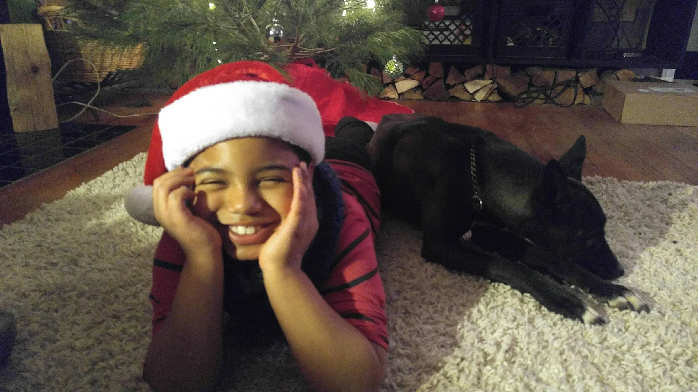 xmasdog.jpg