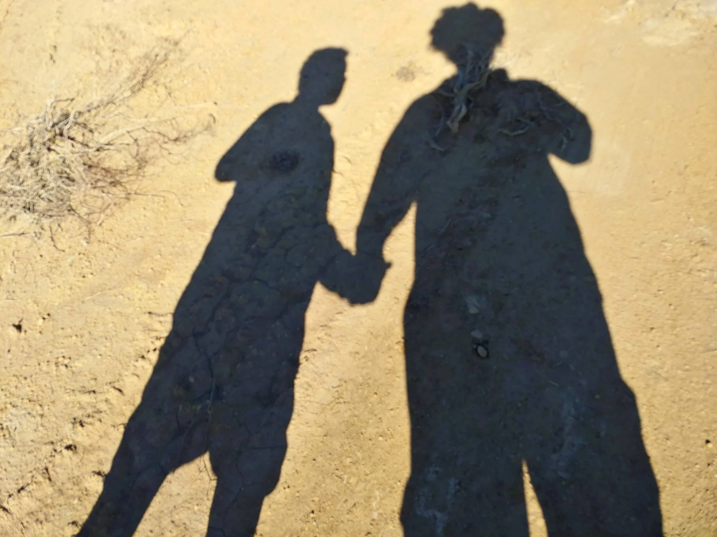 shadows-NM.jpg