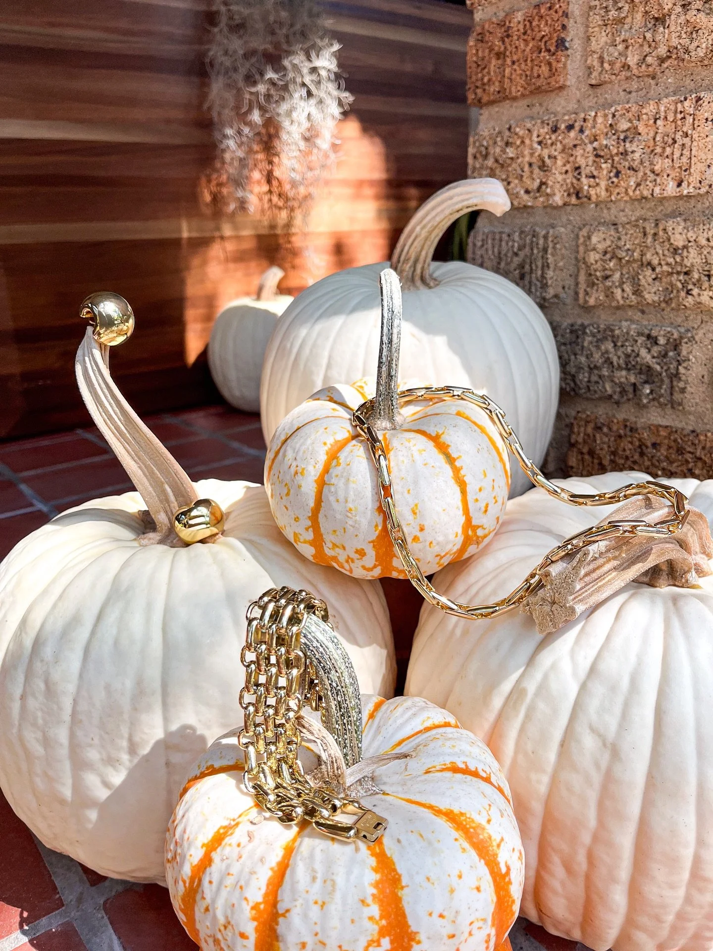 The new season calls for layers - of gold, of warmth, of style&hellip;
Jenny Bird Jewelry adds that unmistakable shine to your autumn look.
🍁🧡🤎✨

#jewelrylover #jennybirdjewelry #goldenshine #autumnvibes🍁 #fashion #stylish #galveston