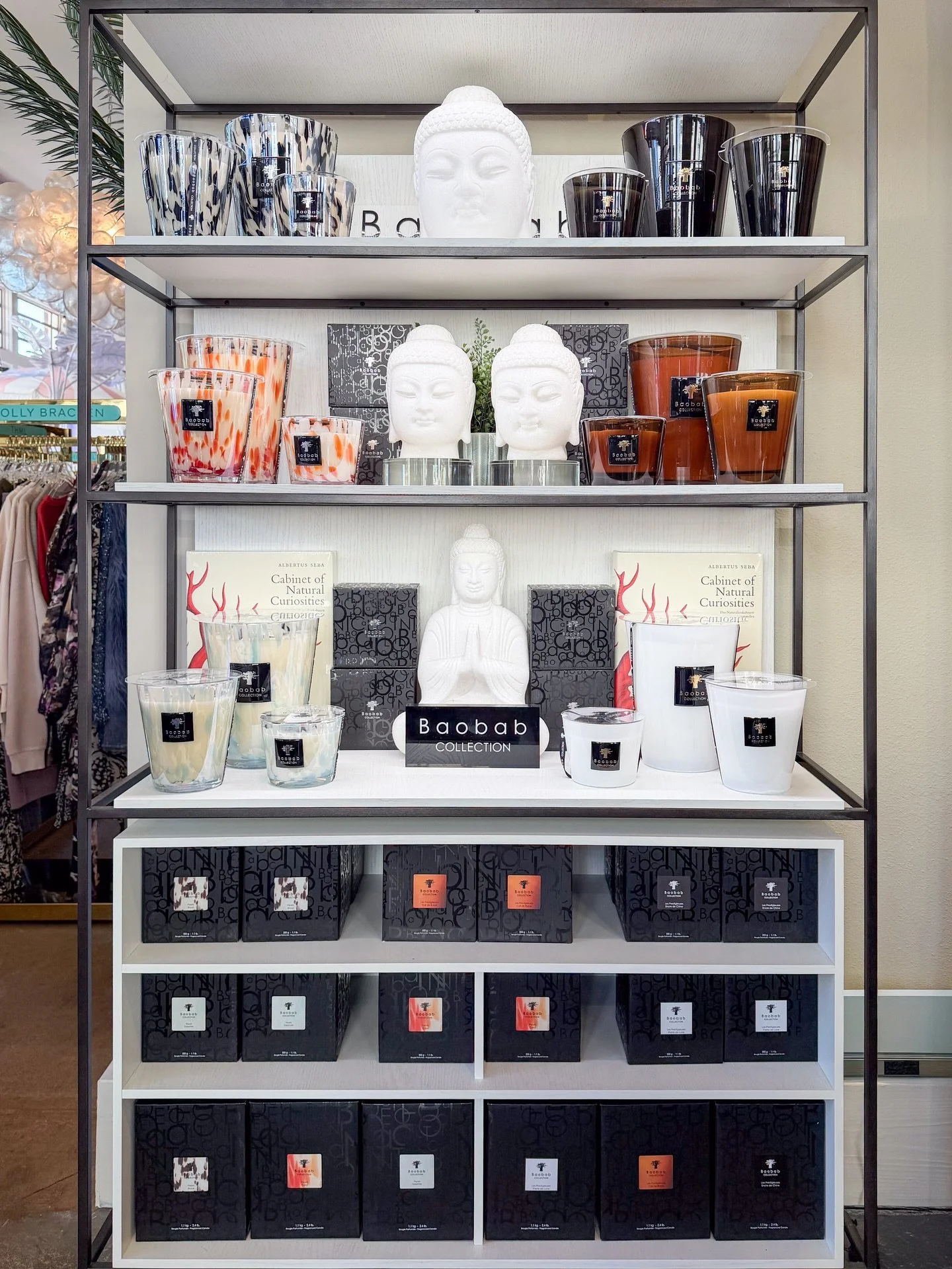 New Baobab Collection candles in store!🌬️✨

With amazing fragrances and beautifully designed glass vessels, these are made to elevate any space! Come in and find your new favorite 🤍

#scentcandle #baobabcollection #homescents #galveston