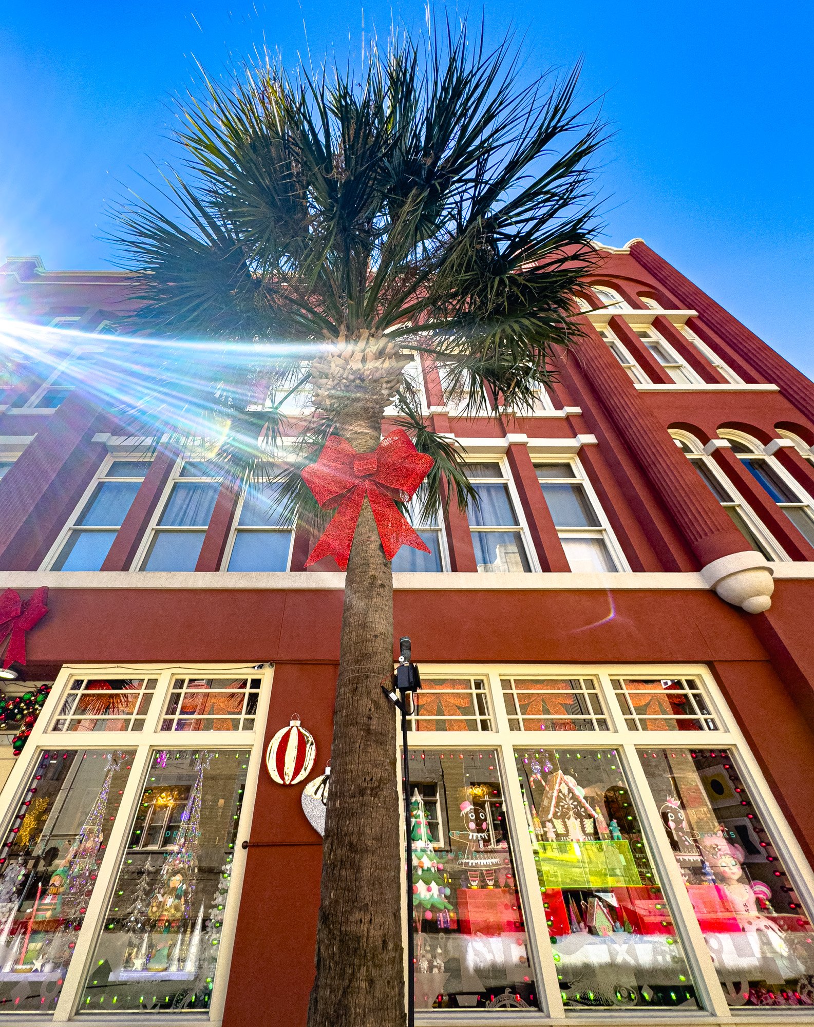 LUNA CHRISTMAS-54.jpg