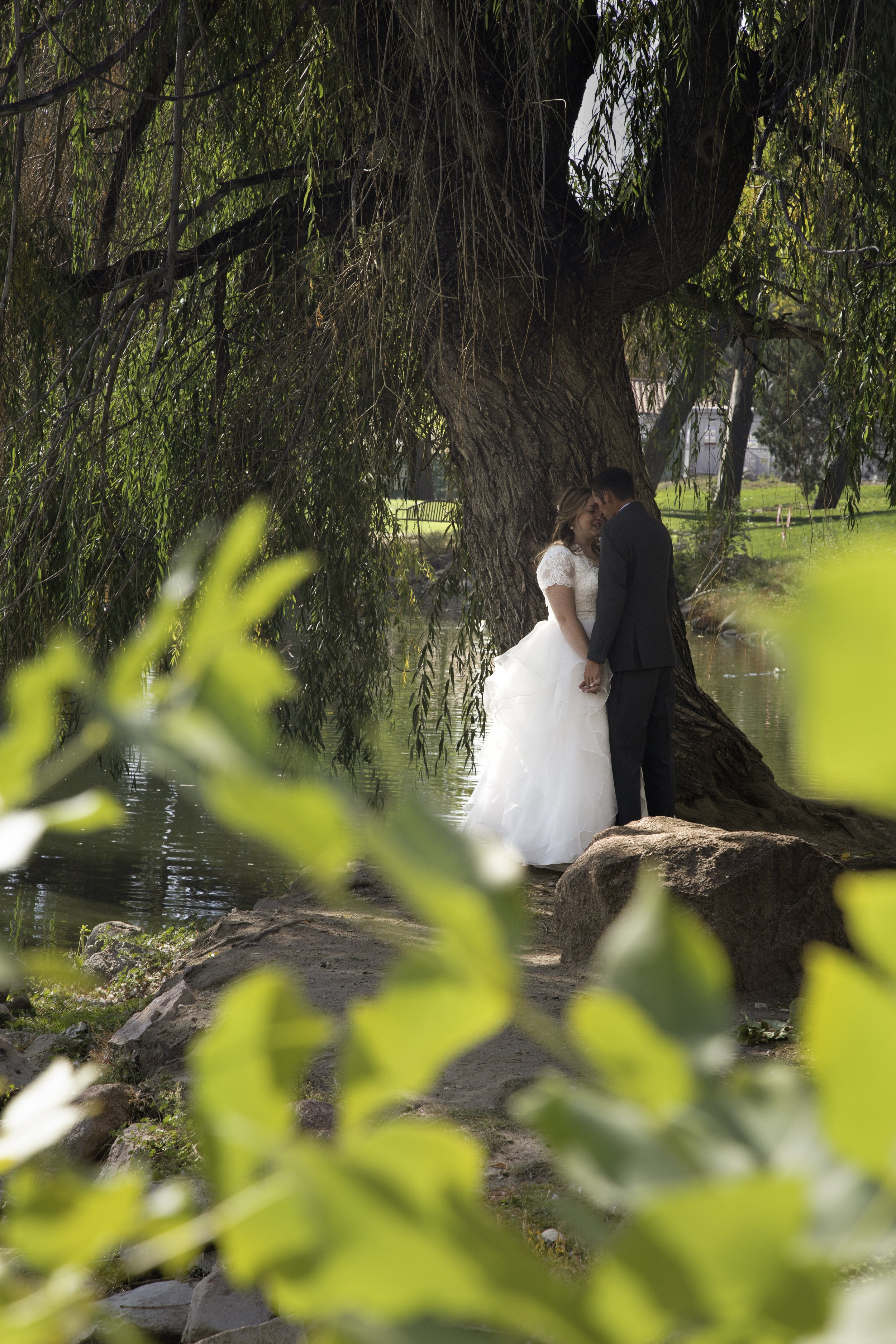 IMG_7455-Edit.jpg
