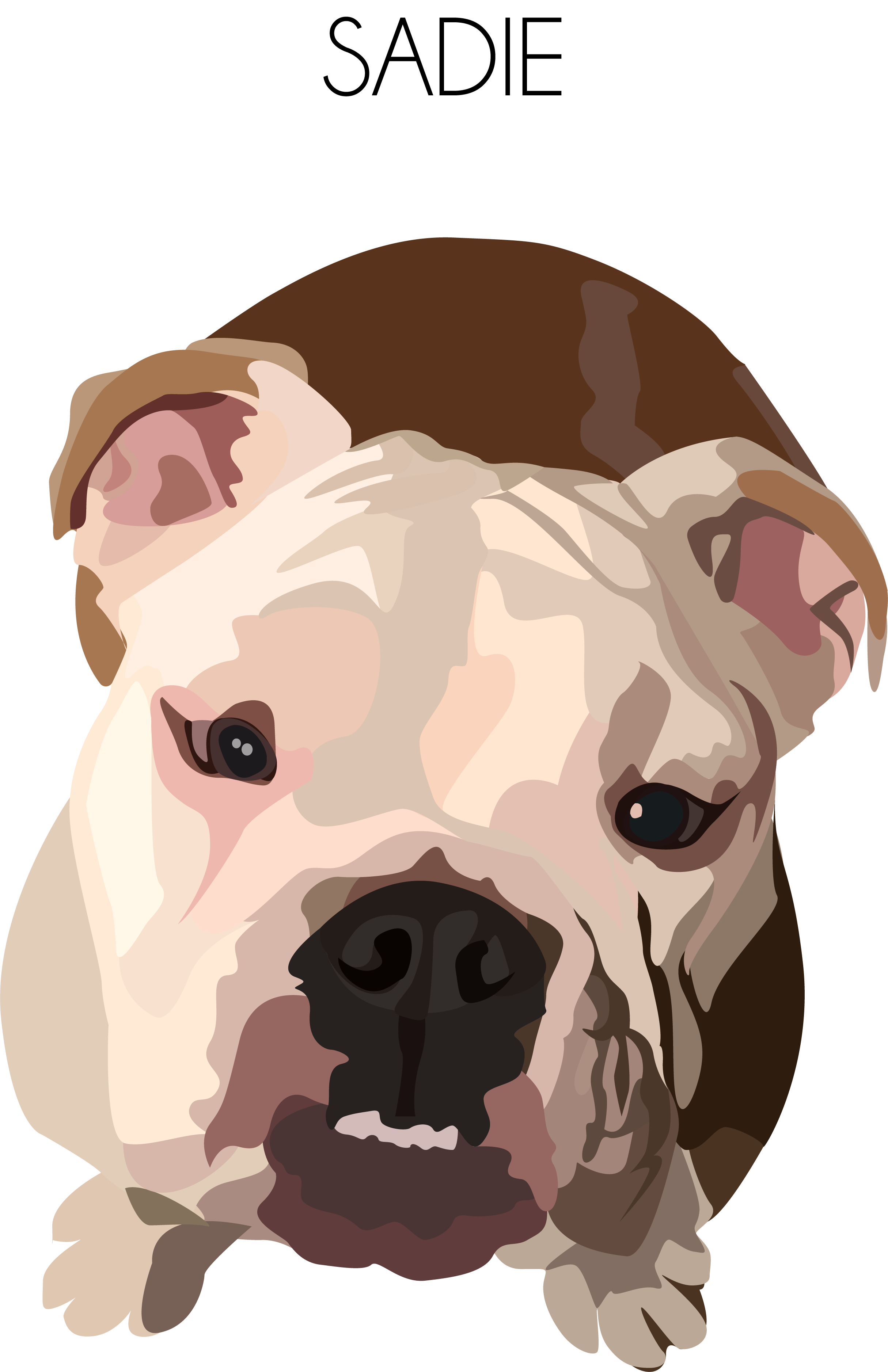 ajones_dog.png