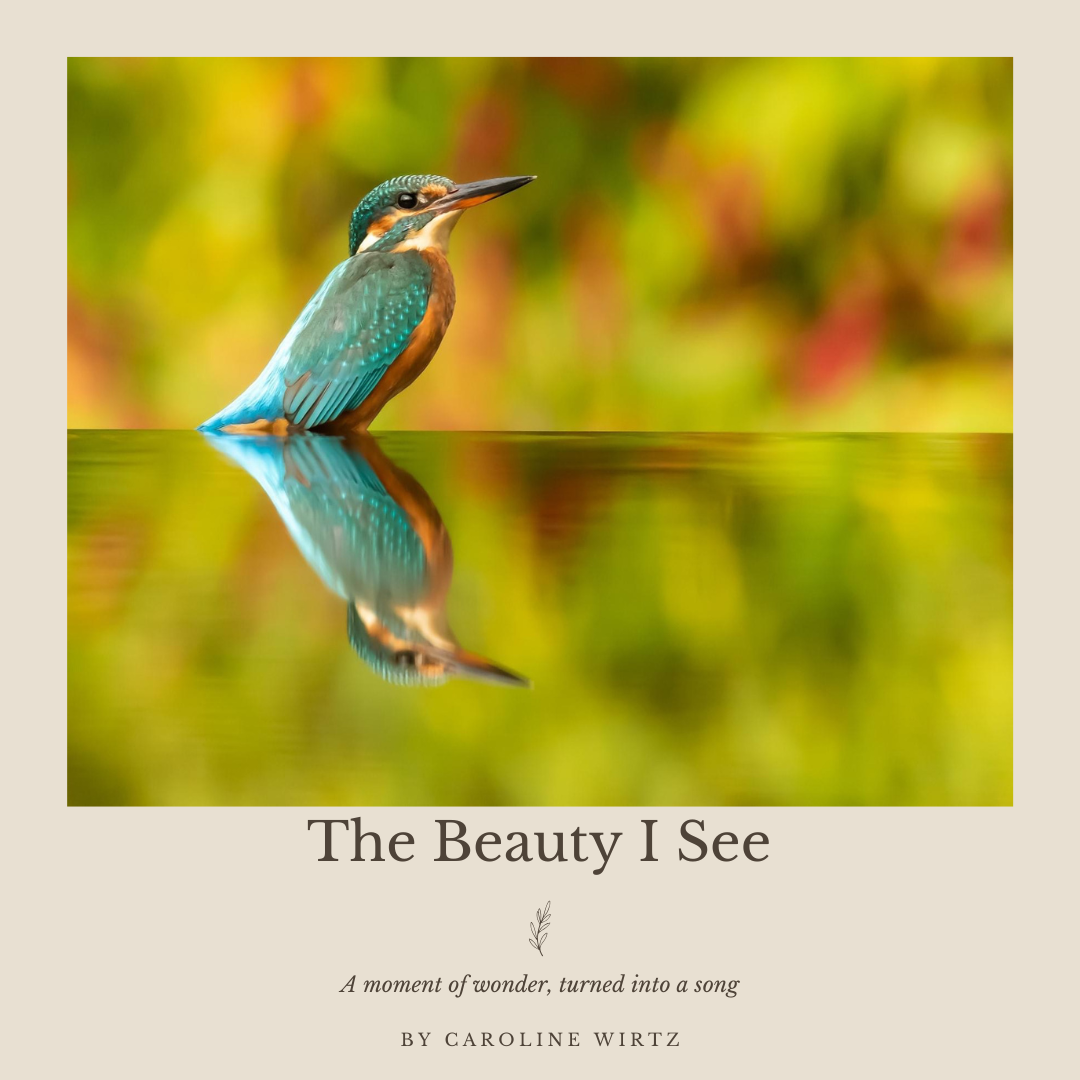 Cover The Beauty I See.png