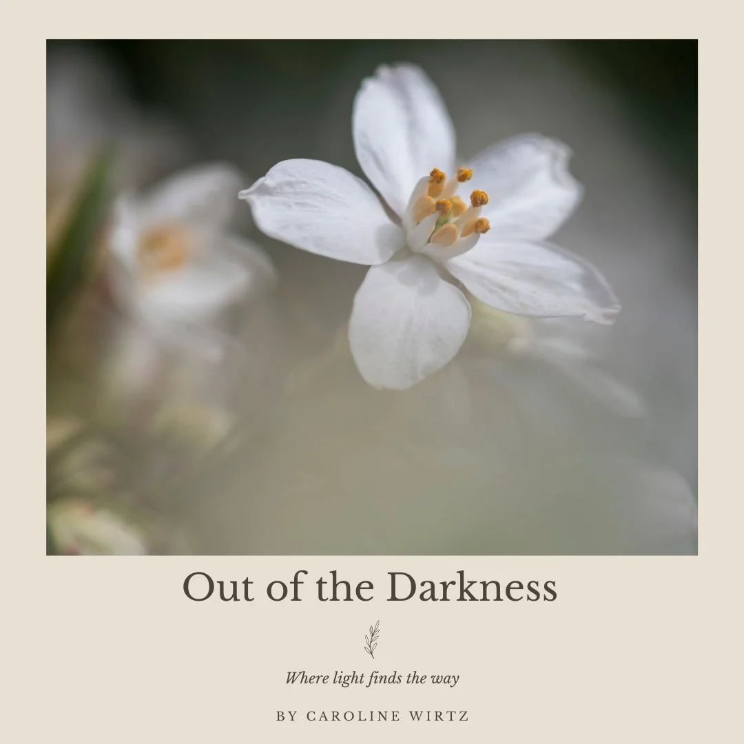 Cover Out of the Darkness.jpg