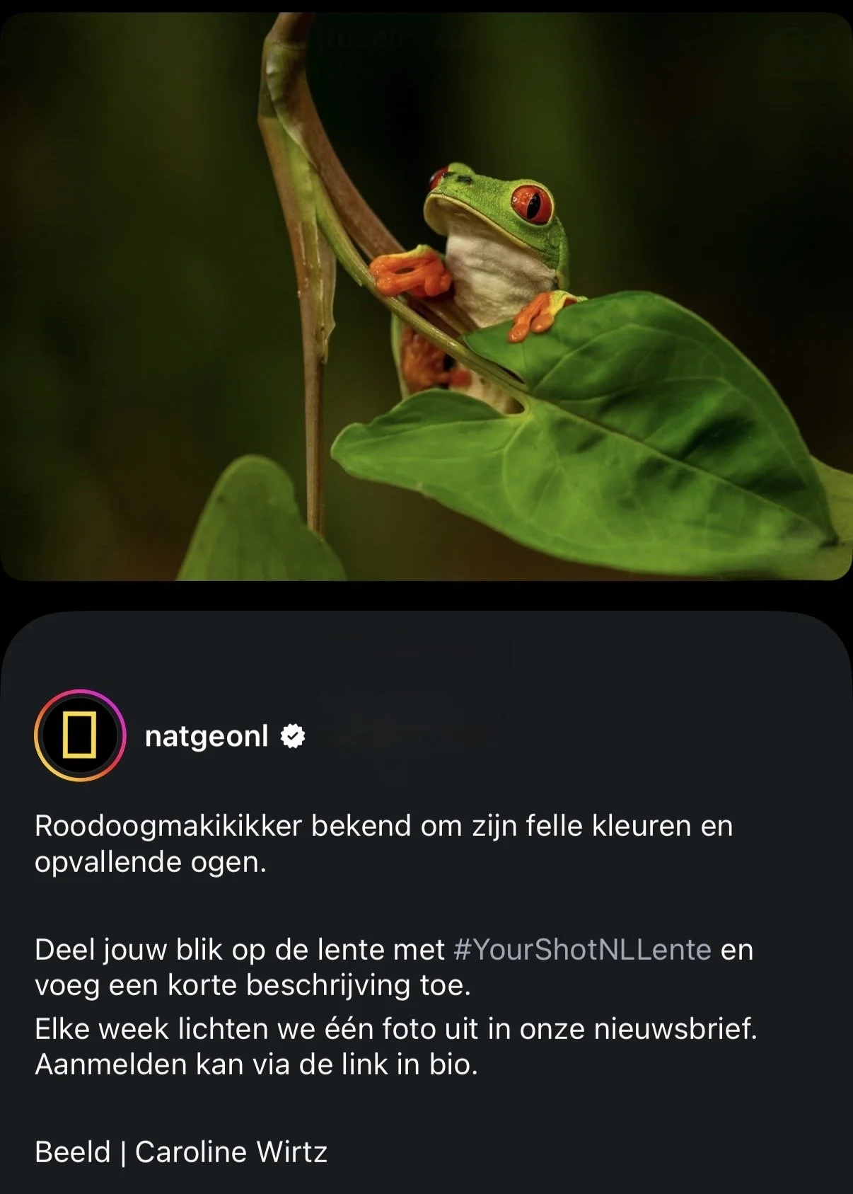 Publicatie NatGeoNL Caroline Wirtz Instagram