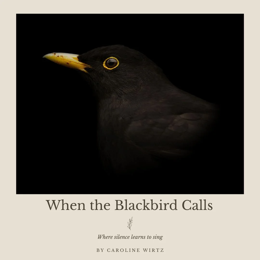 Cover When the Blackbird Calls.jpg
