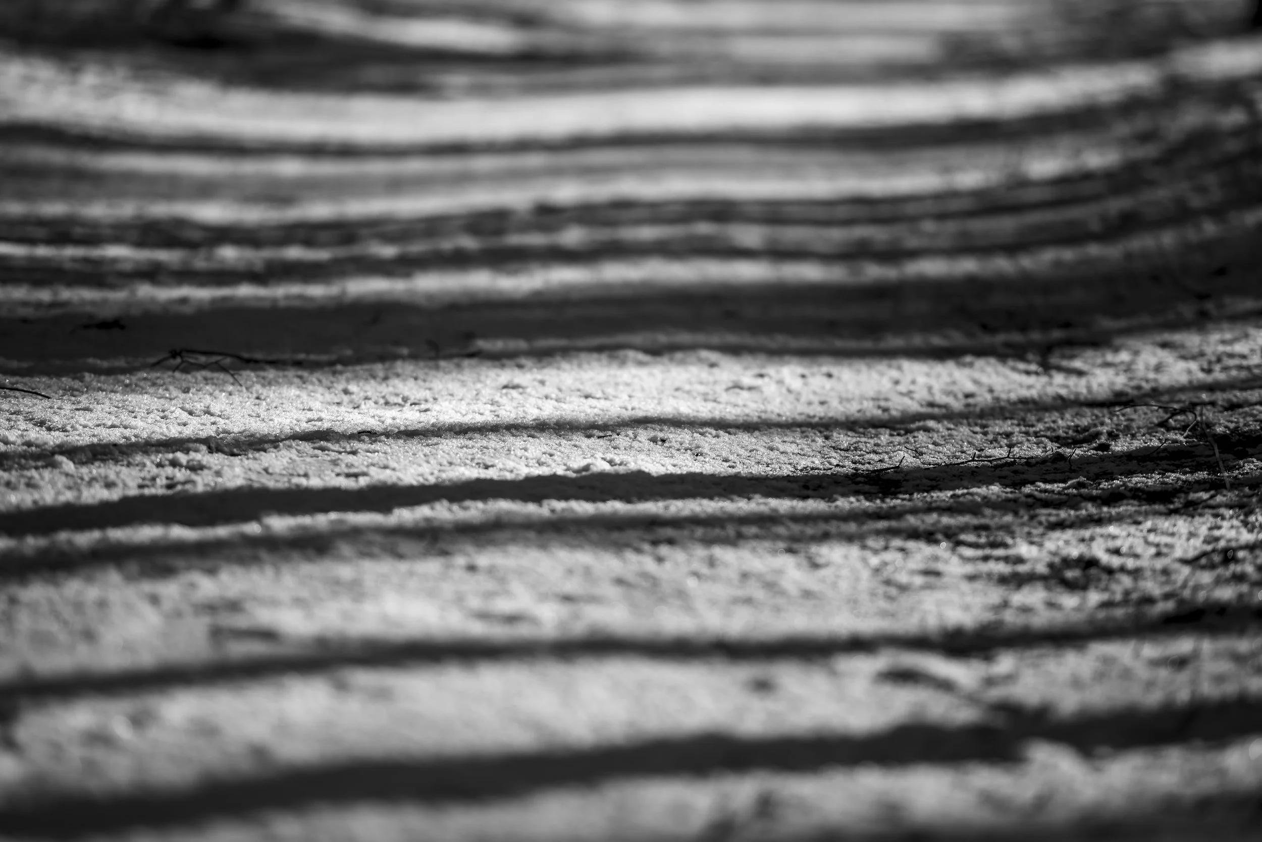 Poedersneeuw op het pad gefotografeerd door Caroline Wirtz