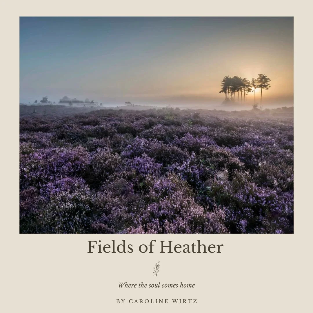 Cover Fields of Heather.jpg