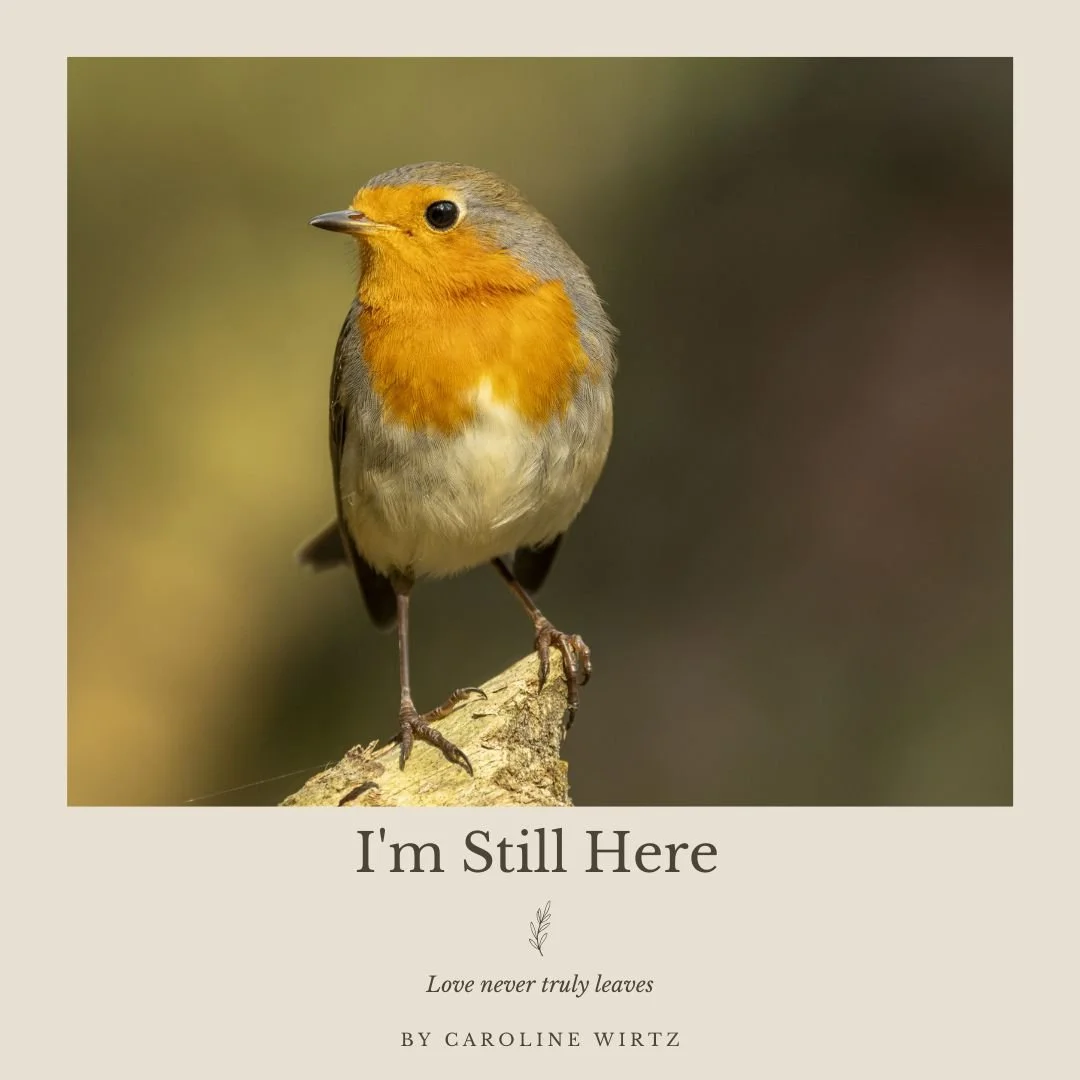 Cover I'm Still Here.jpg