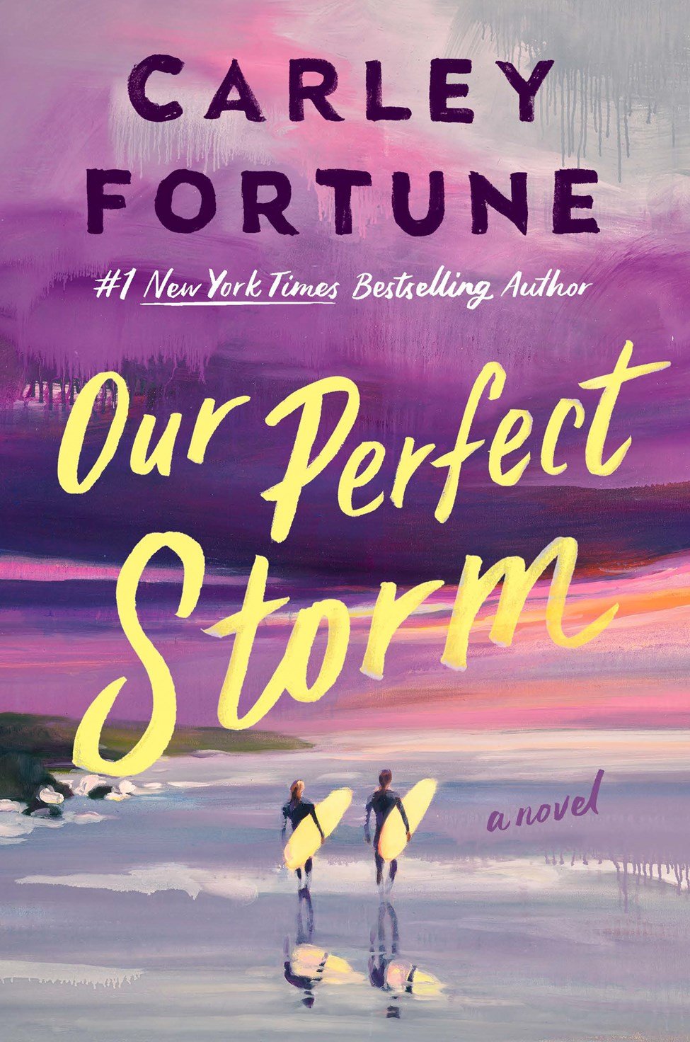 Romance Novels Only Book Club: Our Perfect Storm
