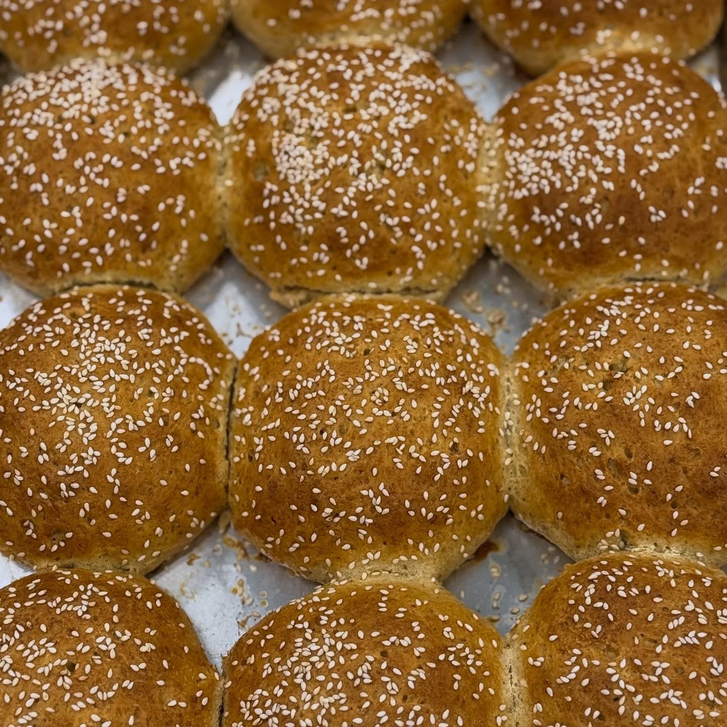 You&rsquo;ve been asking for these and BURGER BUNS ARE FINALLY HERE!! 

No more crumbly buns that don&rsquo;t hold up. These are so soft but also sturdy enough to hold up to a juicy burger. No falling apart after your first bite. No mess! (Scroll to 