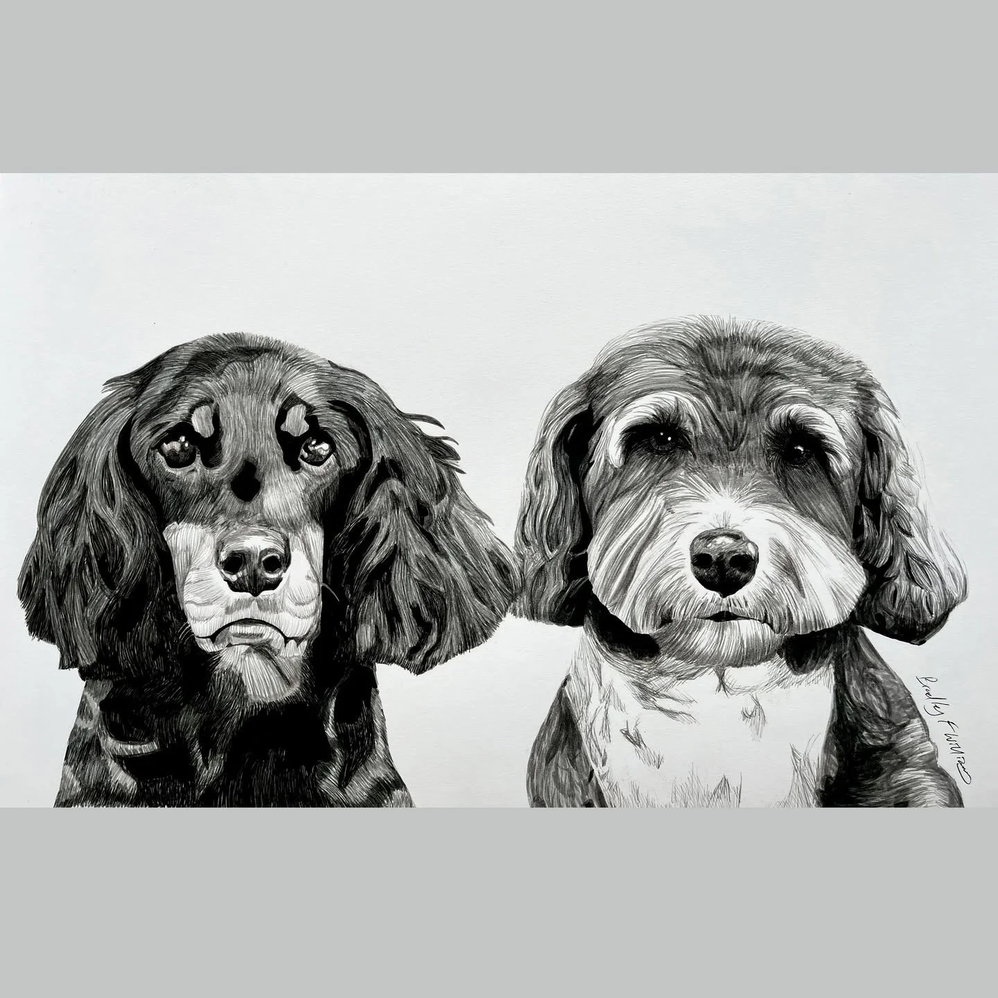 Commission No.8

#artist #portrait #petportrait #artwork #commission