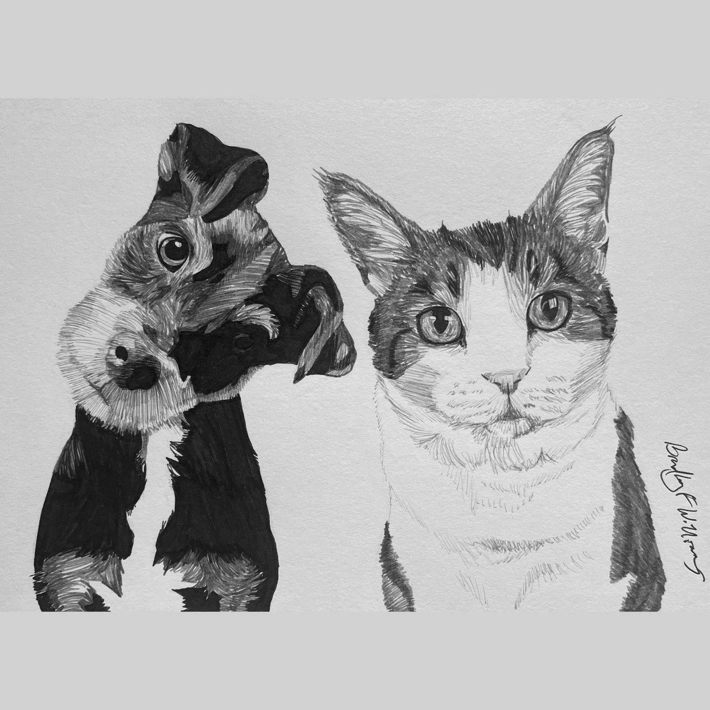 Commission No.9

#artist #portrait #petportrait #commission #pen