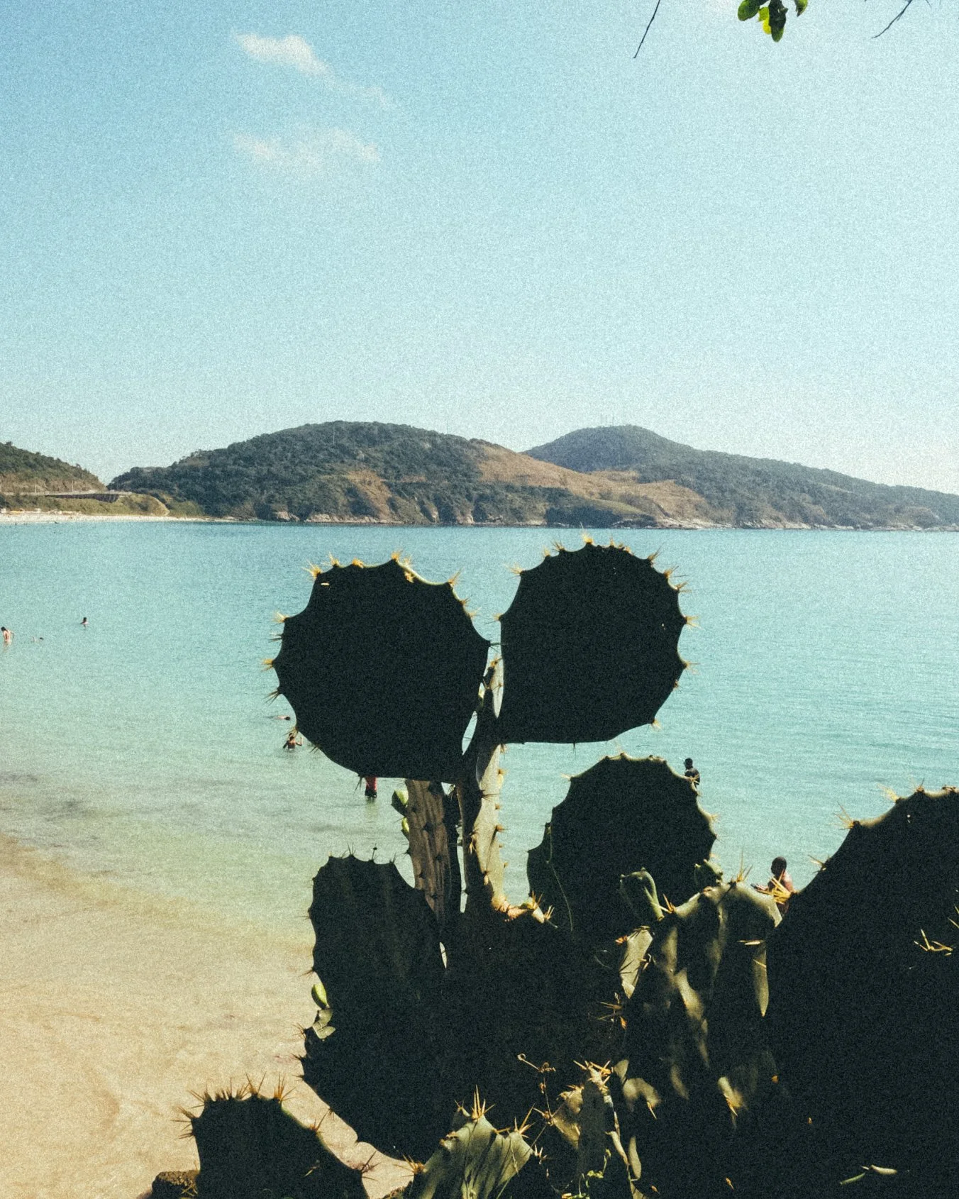 @gutobrown_captura sem nome-4727.jpg