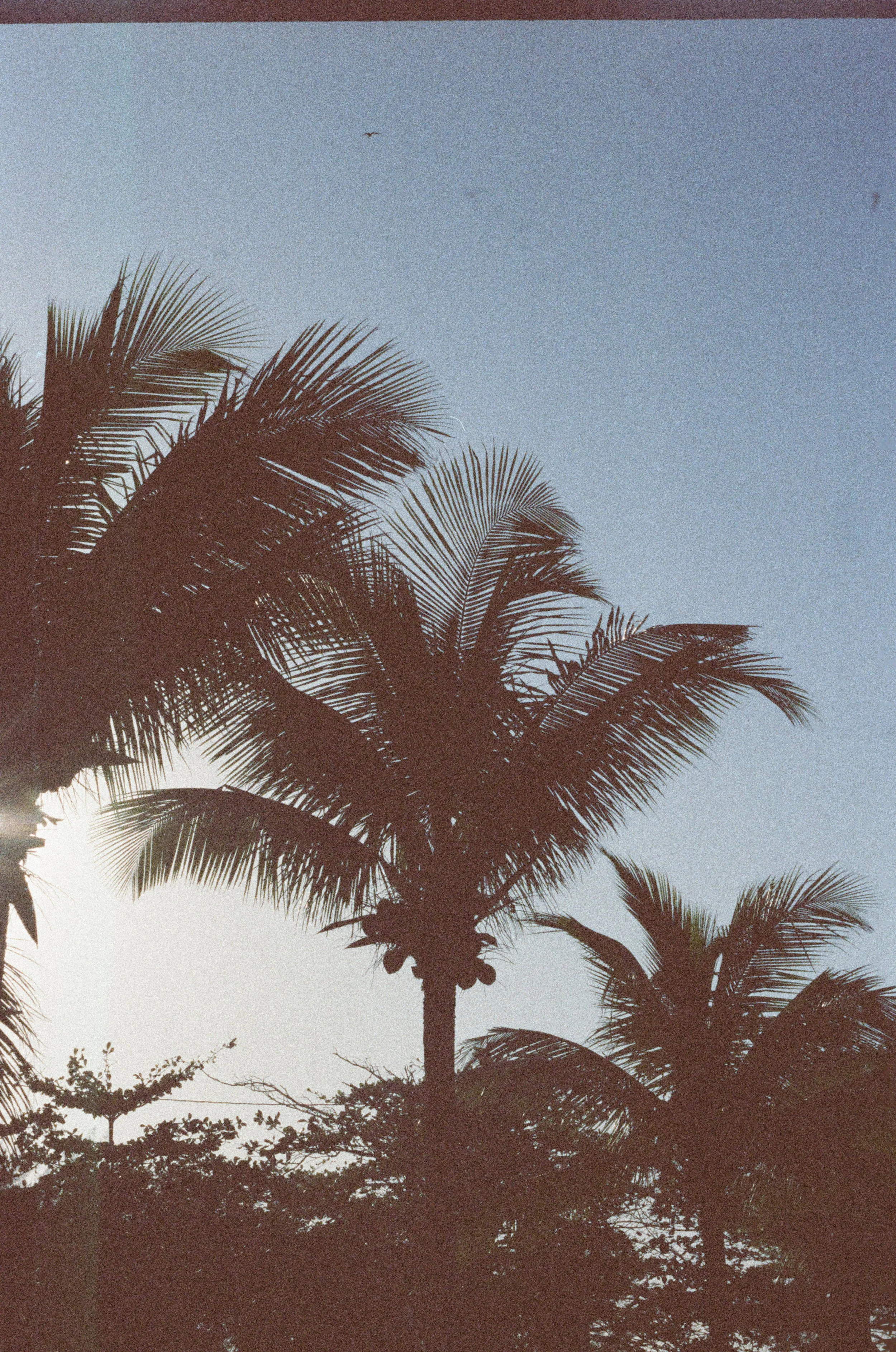 marejadas_0032.jpg