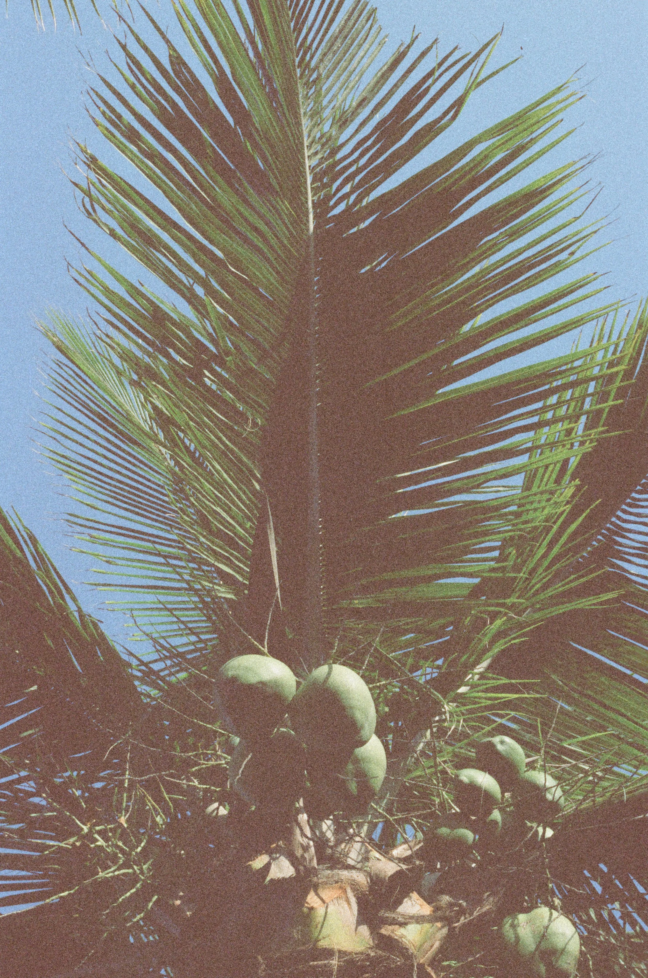marejadas_0050.jpg