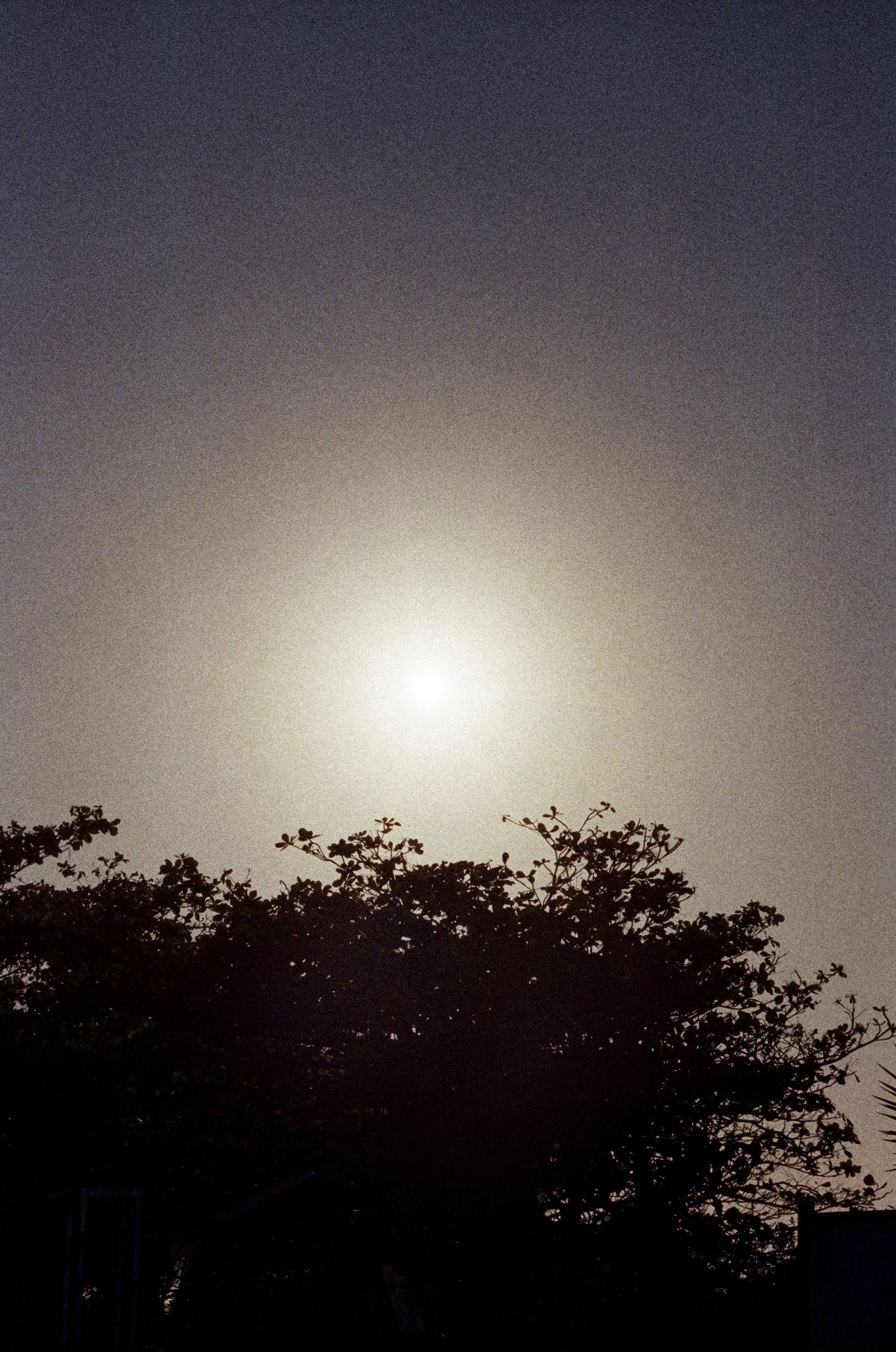 marejadas_0048.jpg